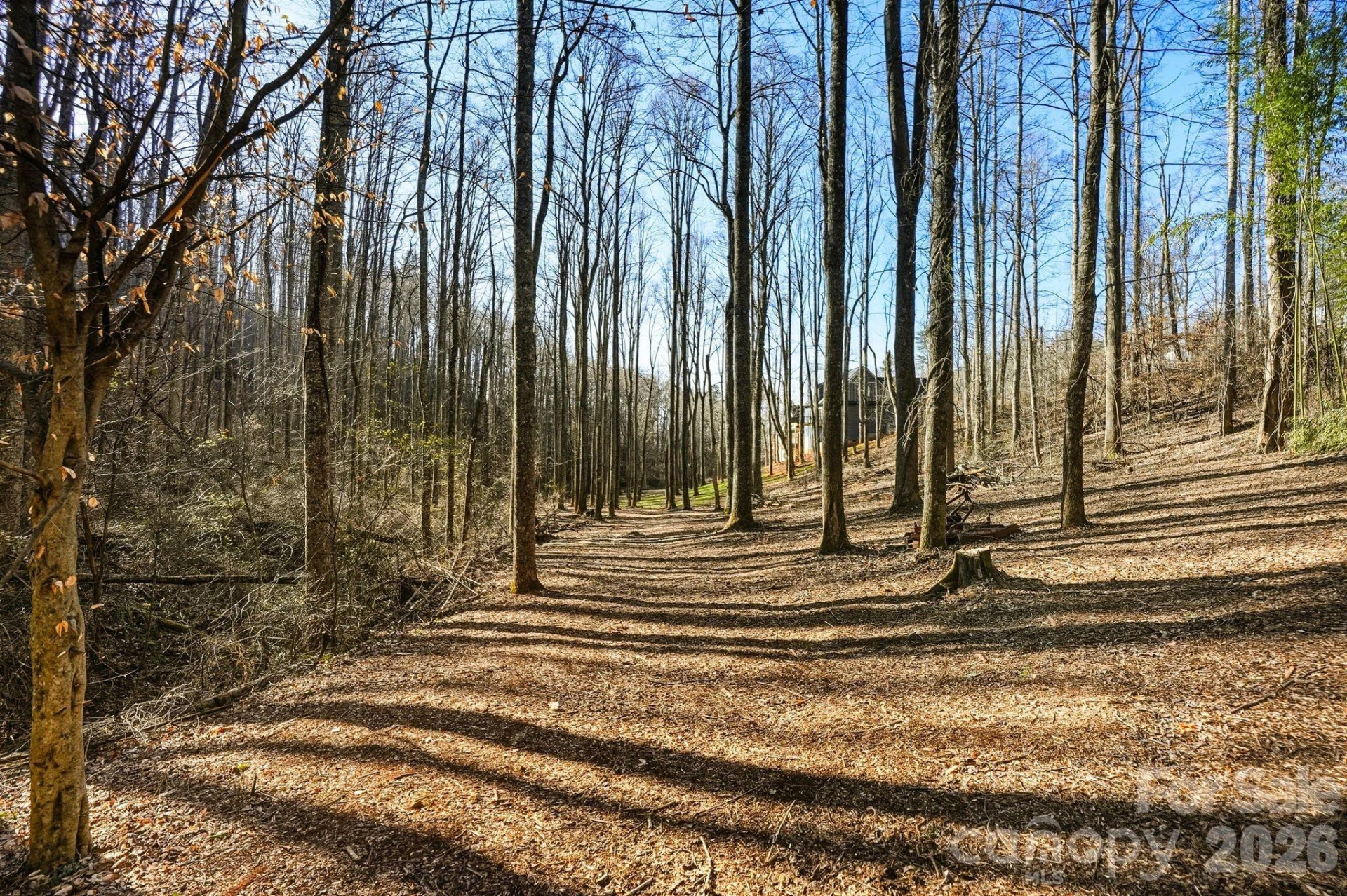 67 Bamboo Trail #18 - Photo 9