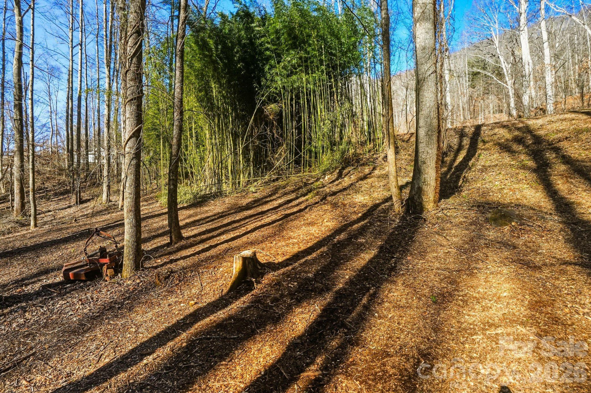 67 Bamboo Trail #18 - Photo 10