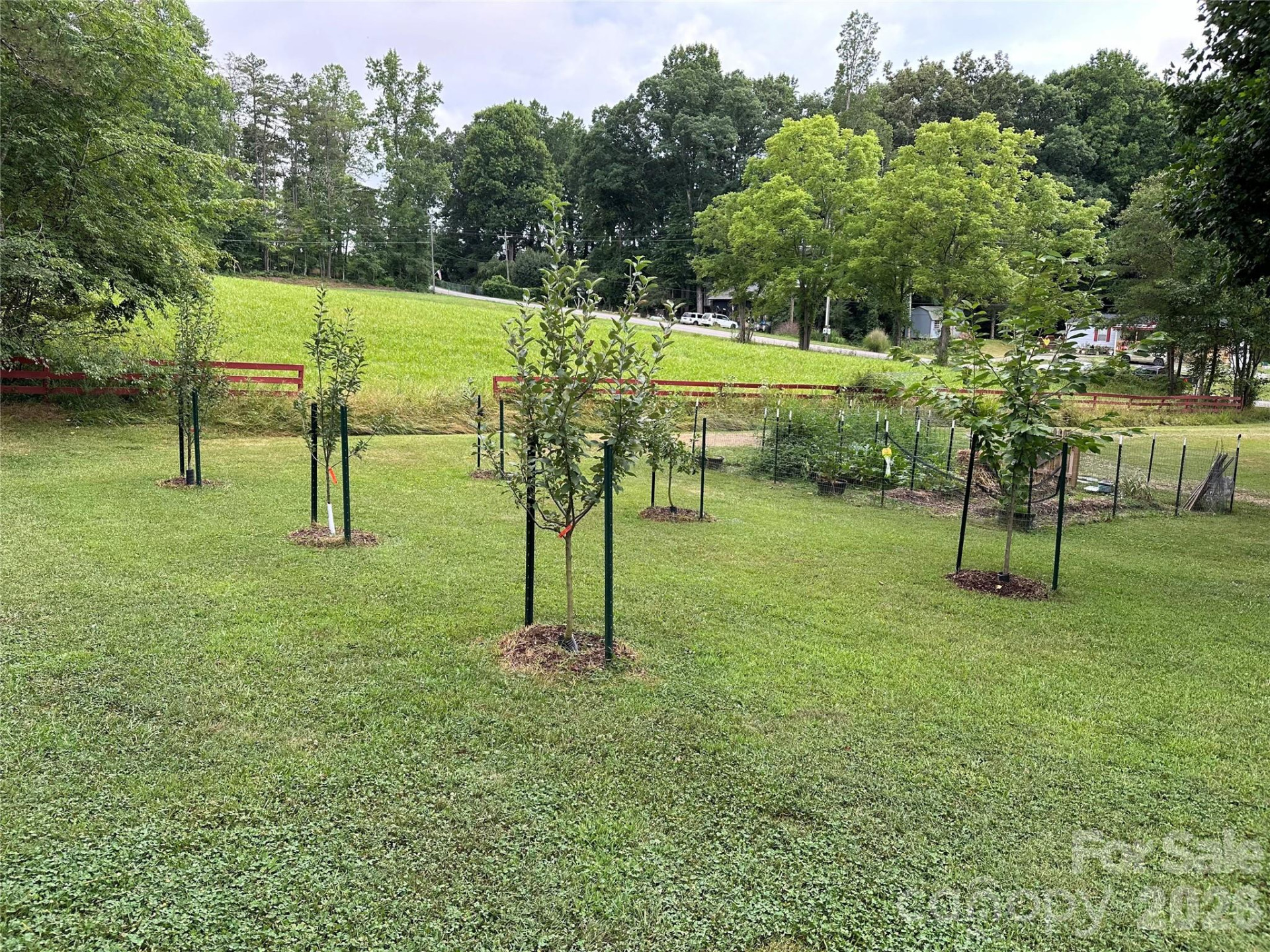 1348 Jenkins Valley Road - Photo 39