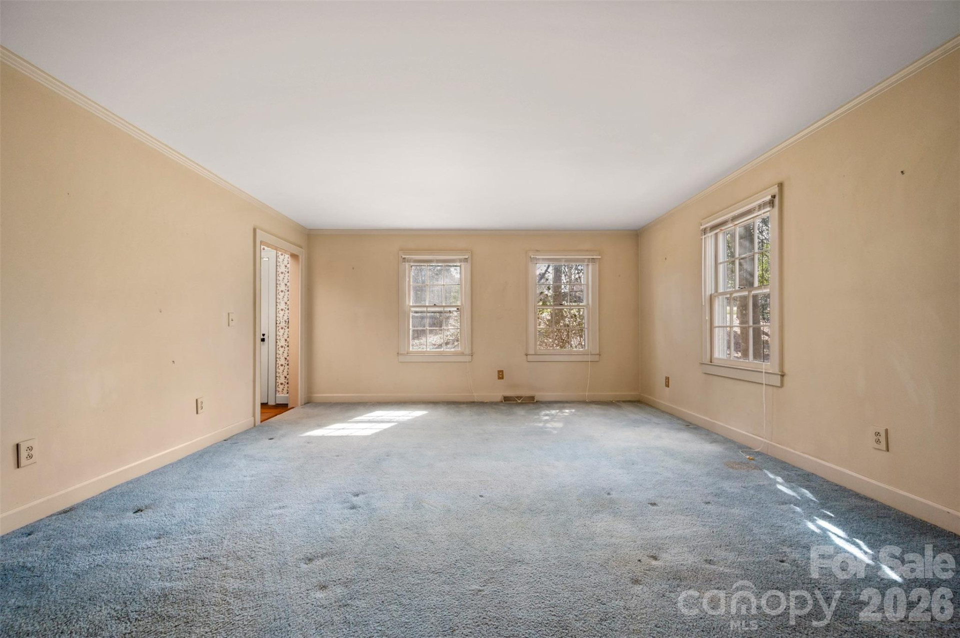 149 Woodbriar Street - Photo 15