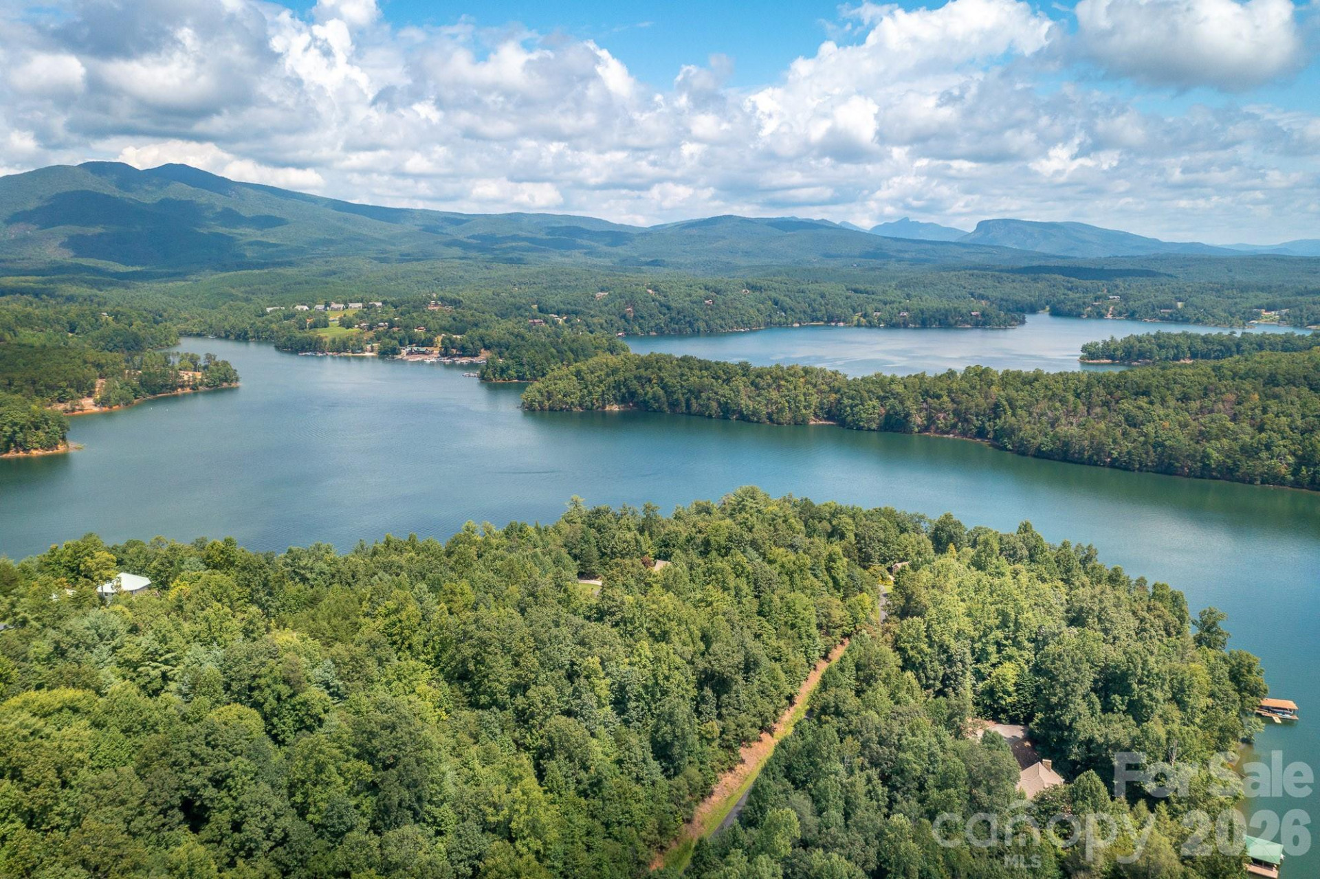 1061 Harborside Drive #208 - Photo 4