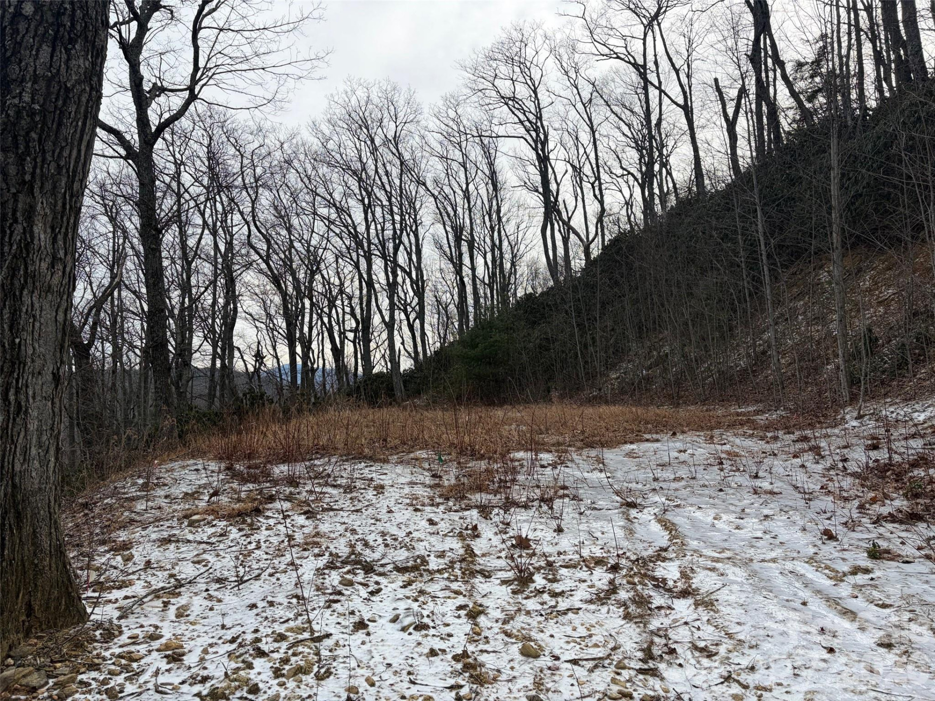 #21R Goodview Drive #21 - Photo 6