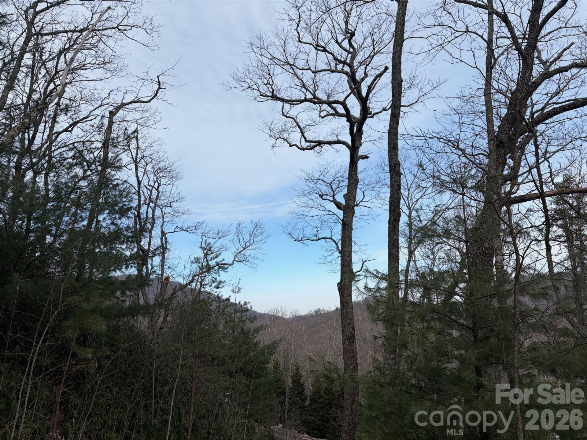 #21R Goodview Drive #21 - Photo 7