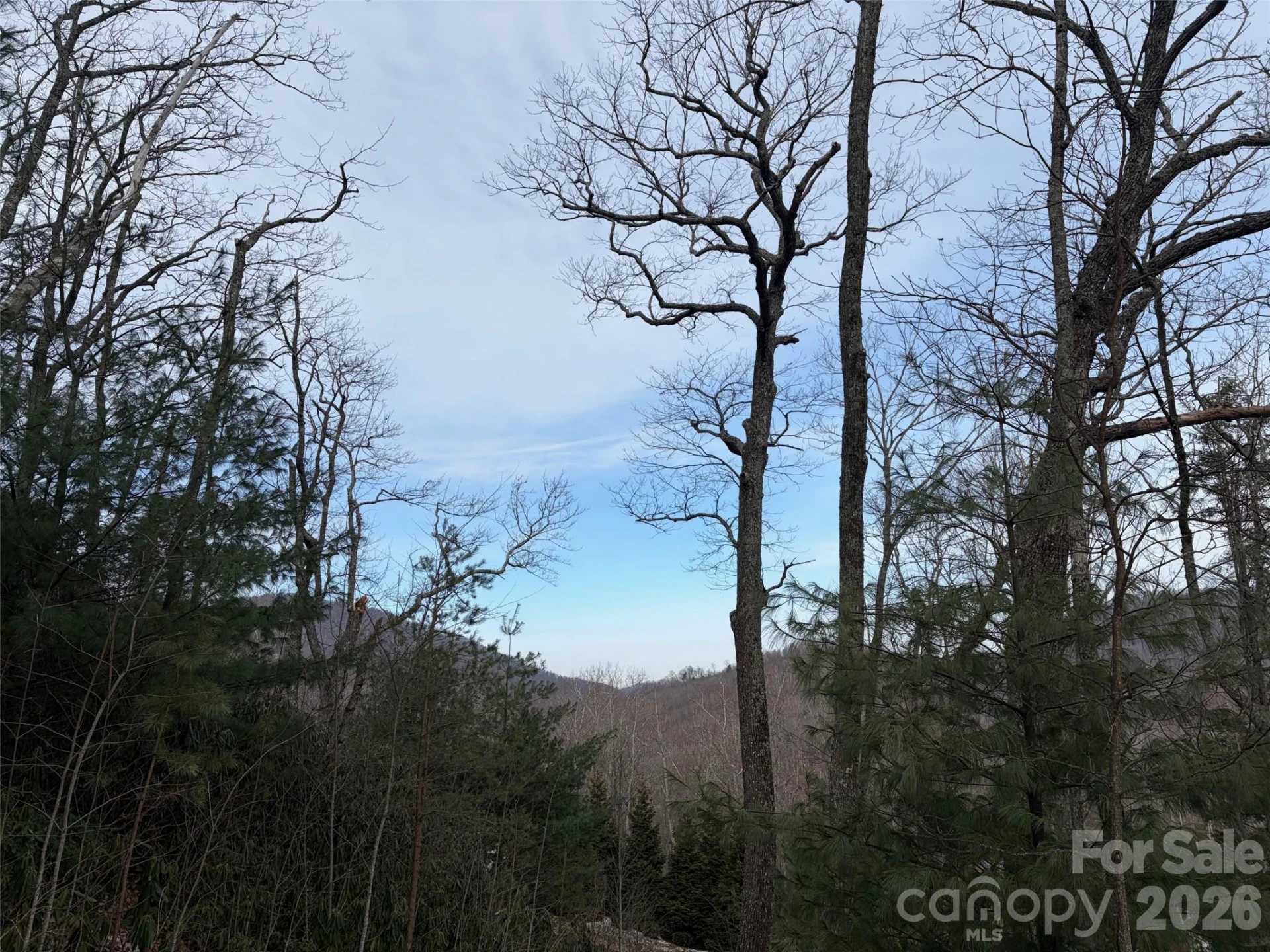 #21R Goodview Drive #21 - Photo 7