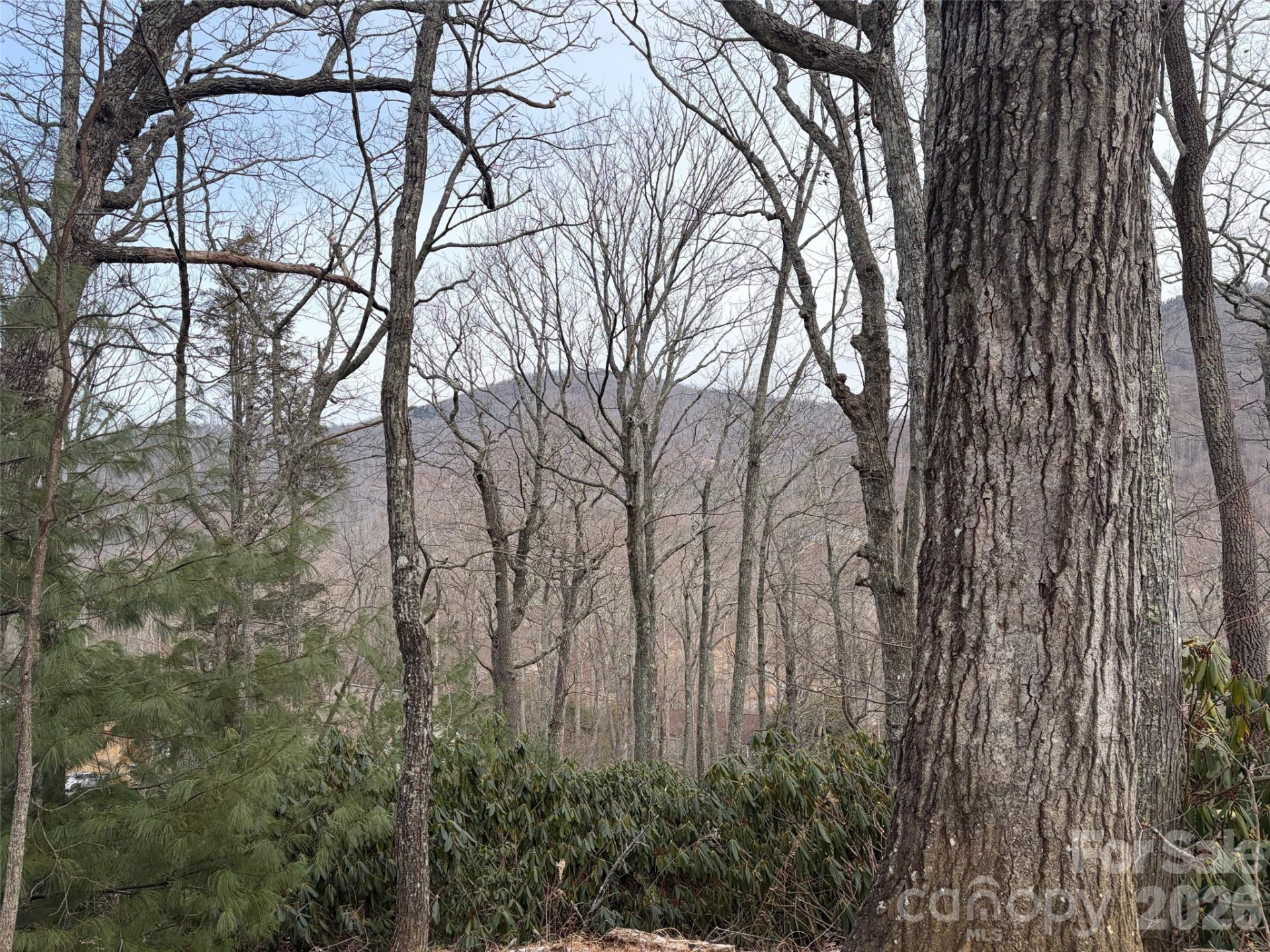 #21R Goodview Drive #21 - Photo 8