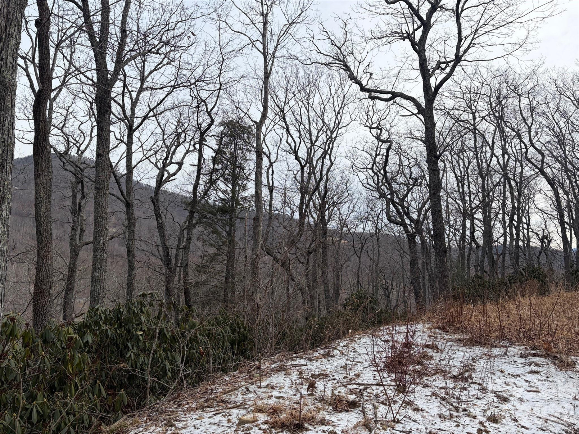 #21R Goodview Drive #21 - Photo 9