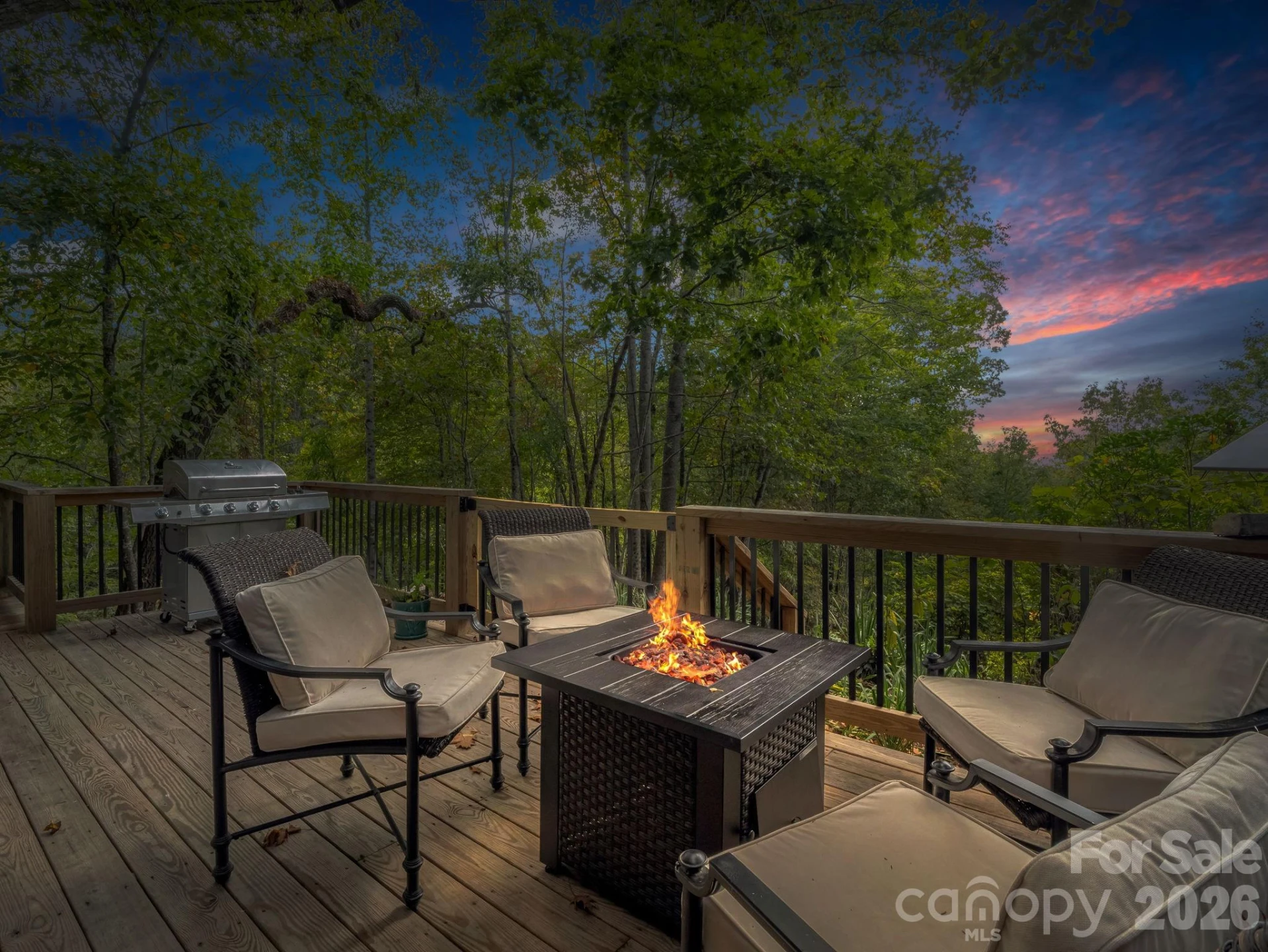 1821 Bearwallow Mountain Road - Photo 4