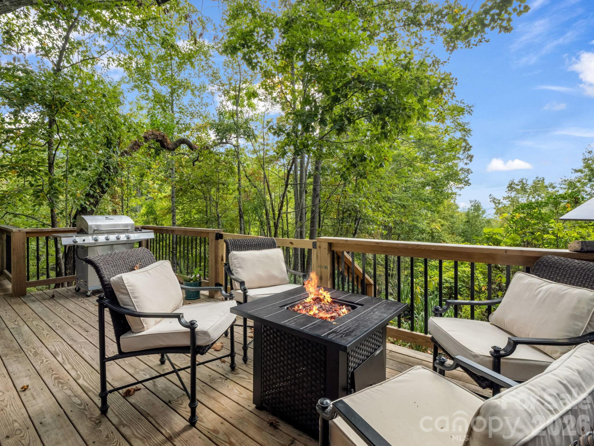 1821 Bearwallow Mountain Road - Photo 39