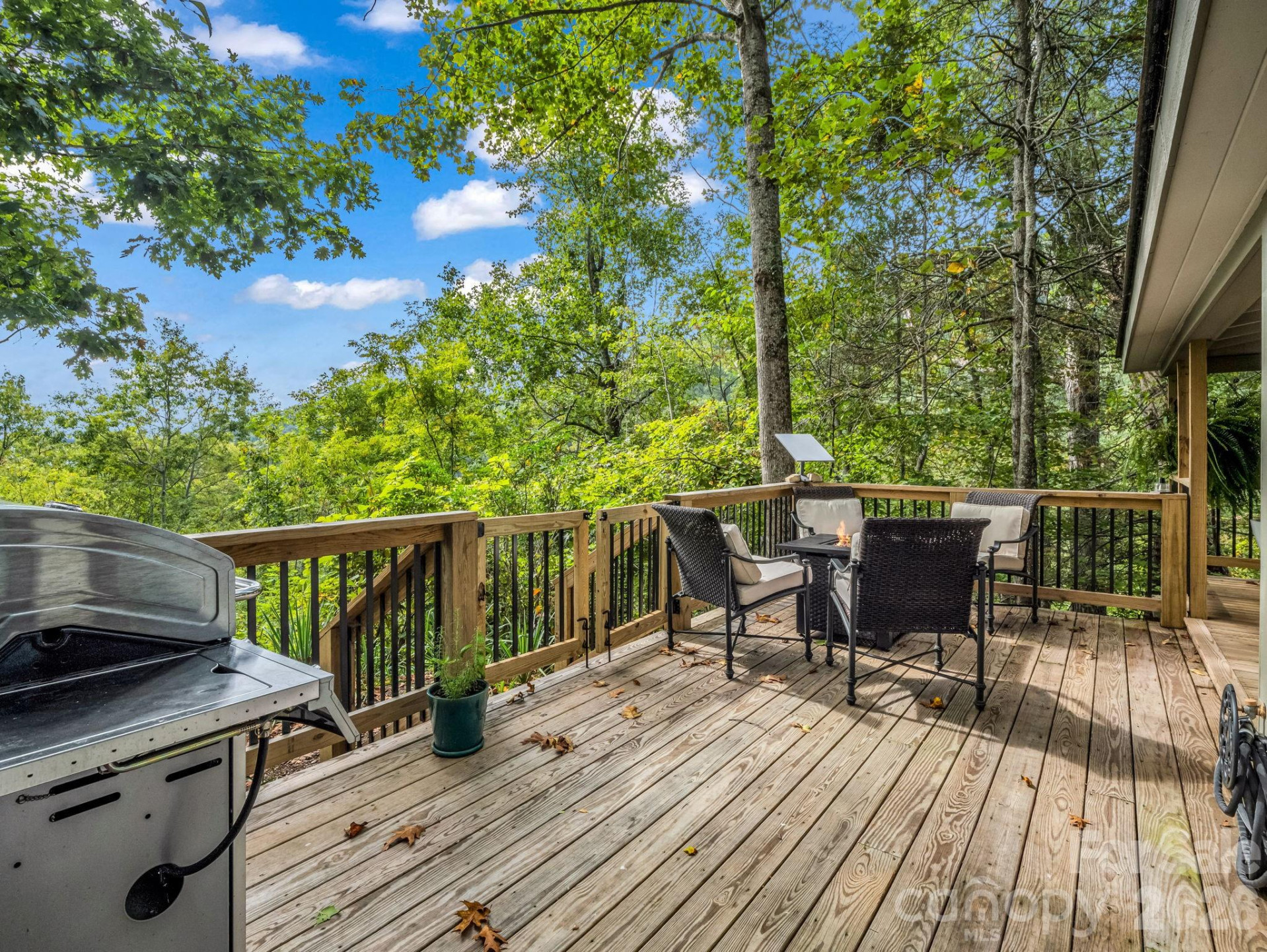 1821 Bearwallow Mountain Road - Photo 40