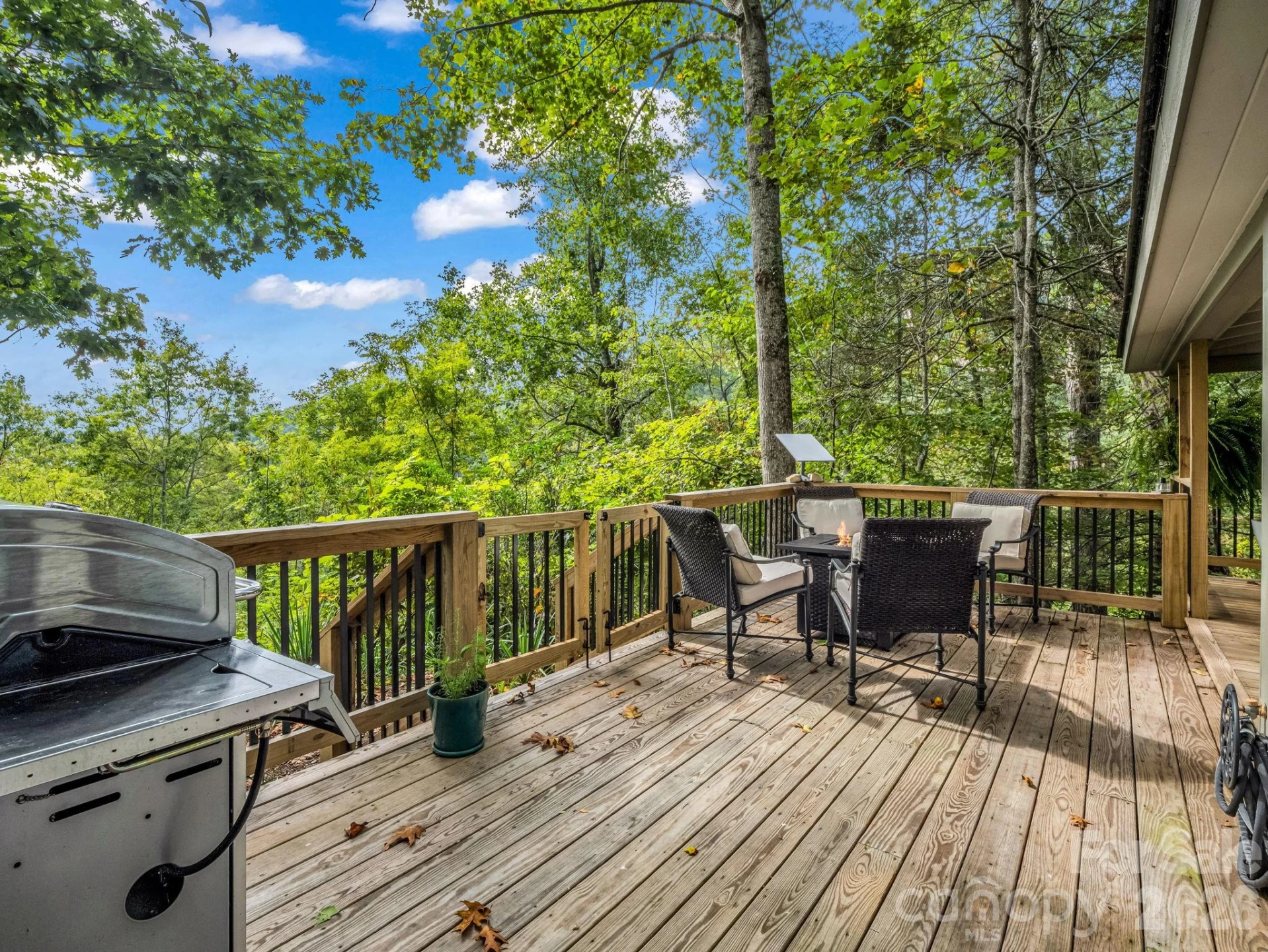 1821 Bearwallow Mountain Road - Photo 40