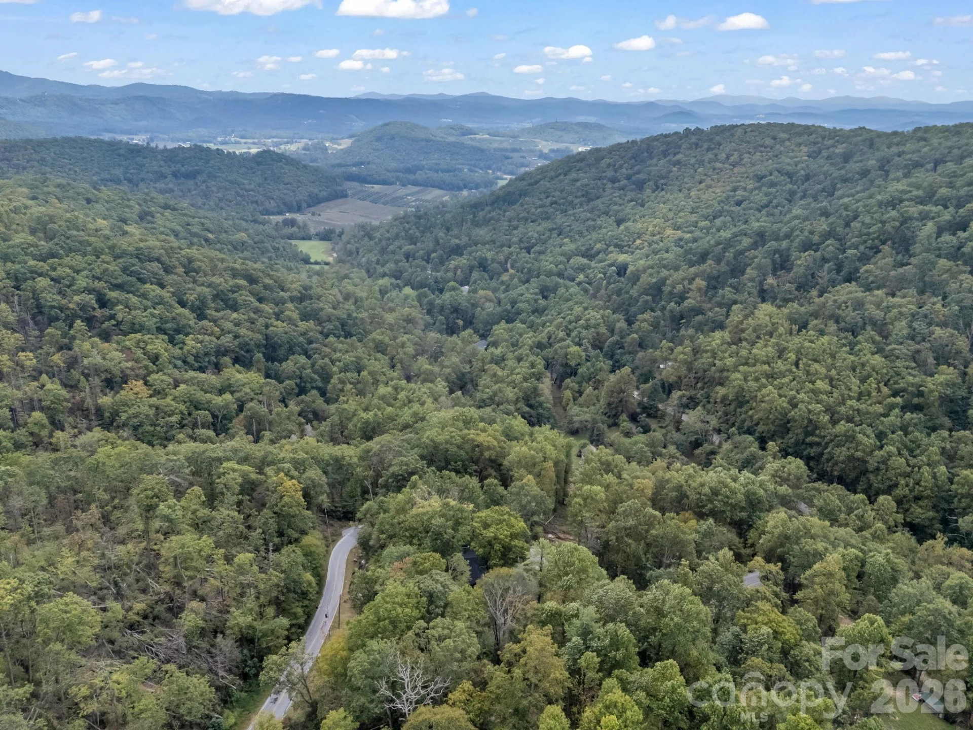 1821 Bearwallow Mountain Road - Photo 45