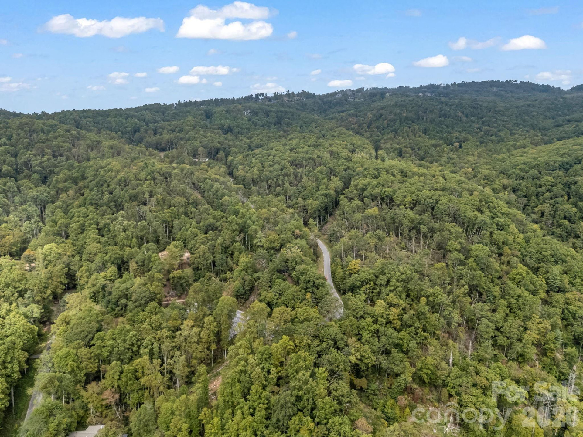 1821 Bearwallow Mountain Road - Photo 46