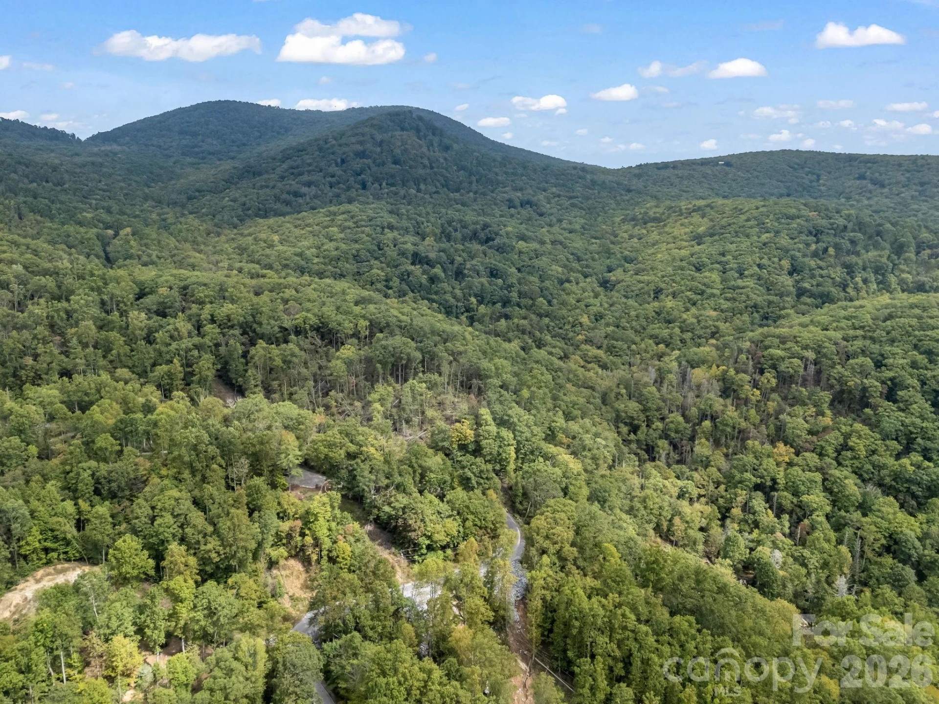 1821 Bearwallow Mountain Road - Photo 47