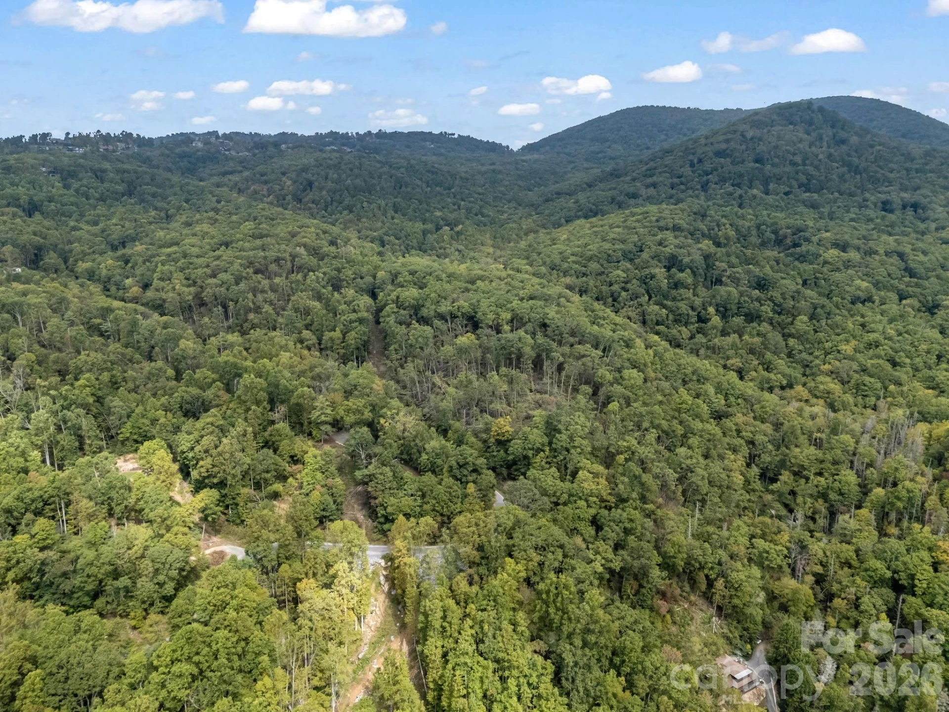 1821 Bearwallow Mountain Road - Photo 48