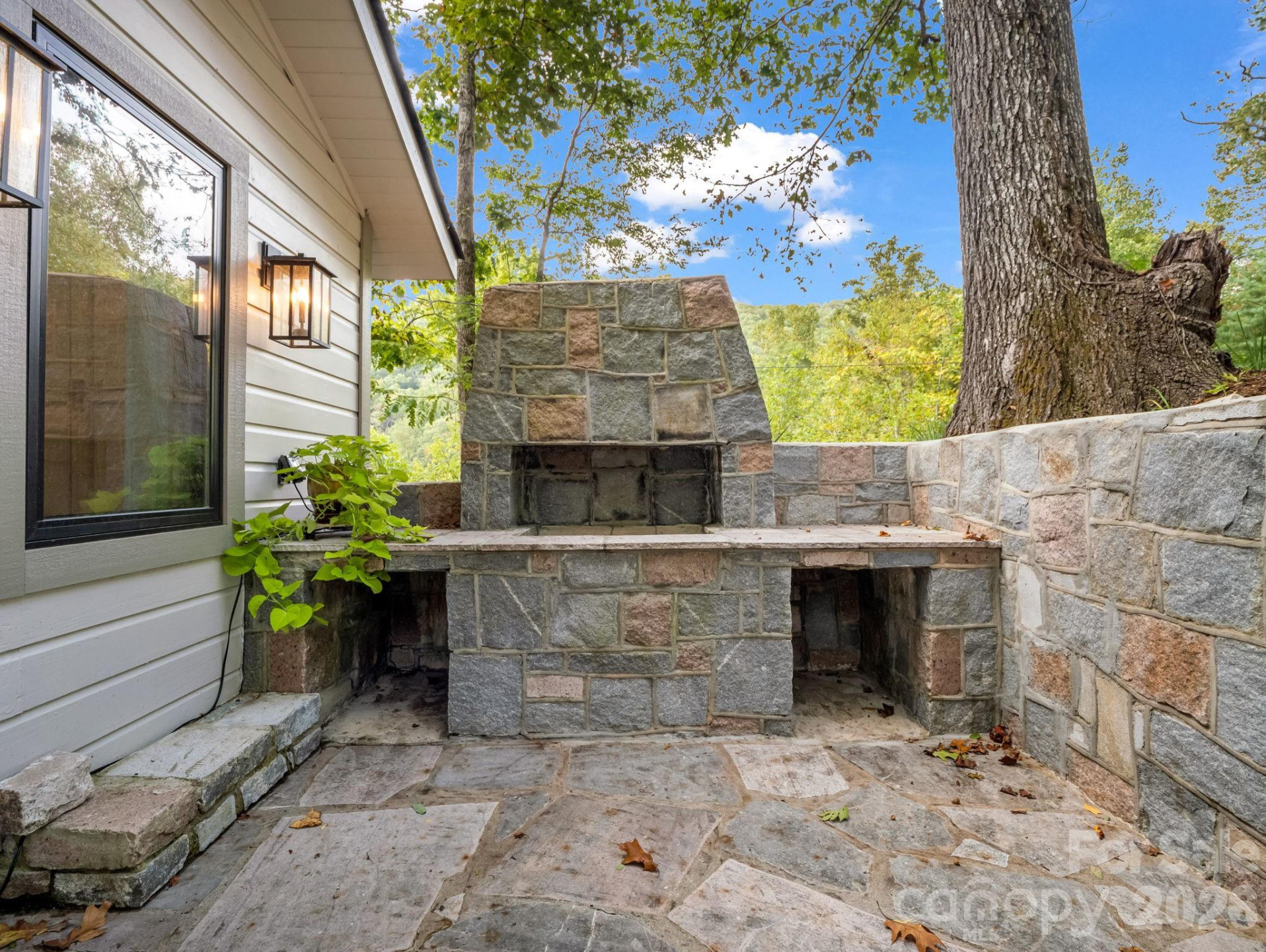 1821 Bearwallow Mountain Road - Photo 7