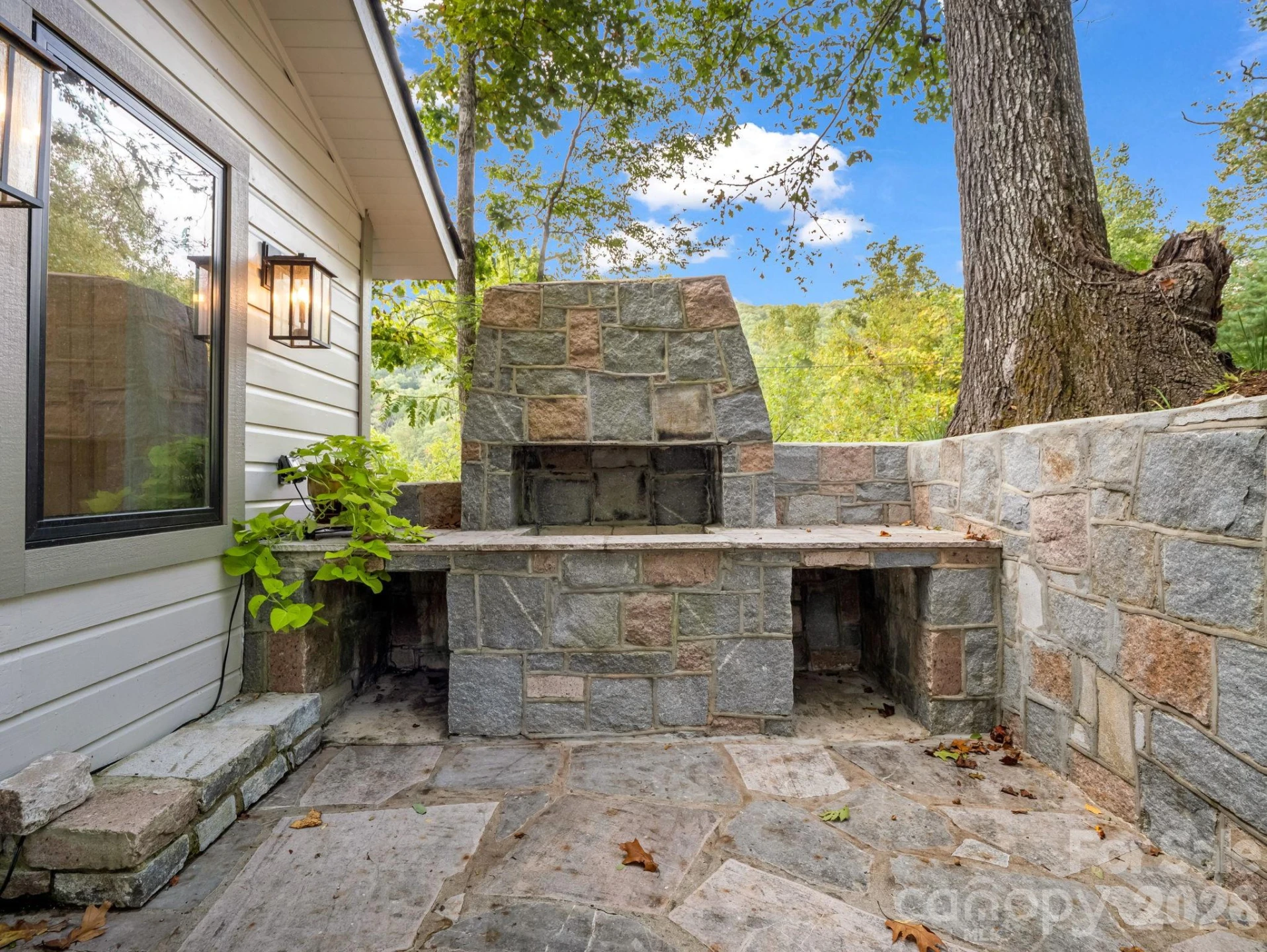 1821 Bearwallow Mountain Road - Photo 7
