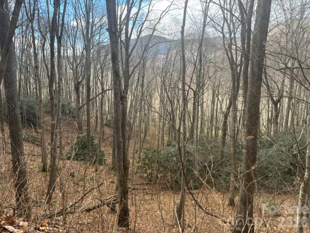 68 Grouse Road, Clyde, NC, 28721
