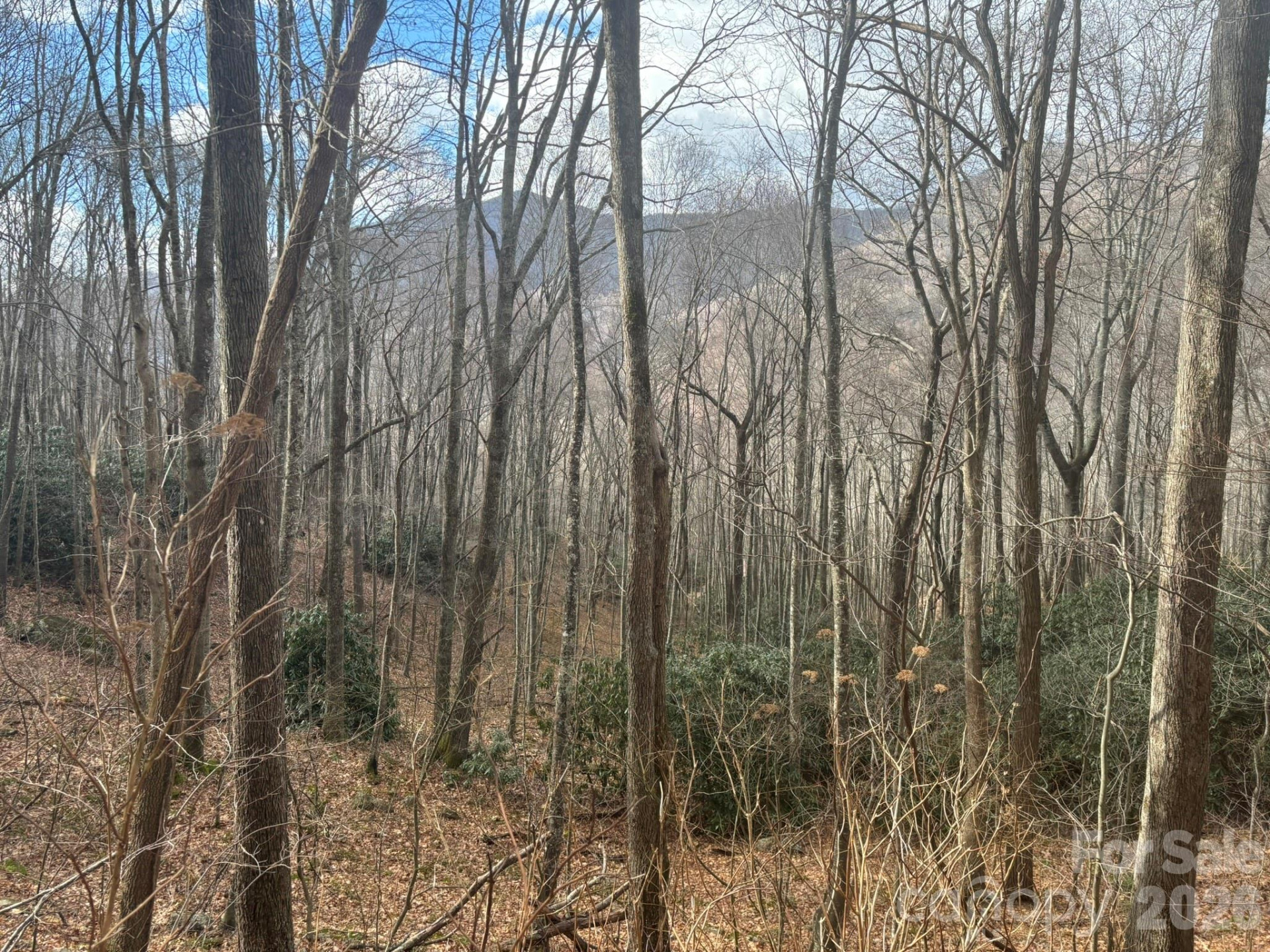 68 Grouse Road #68 - Photo 2