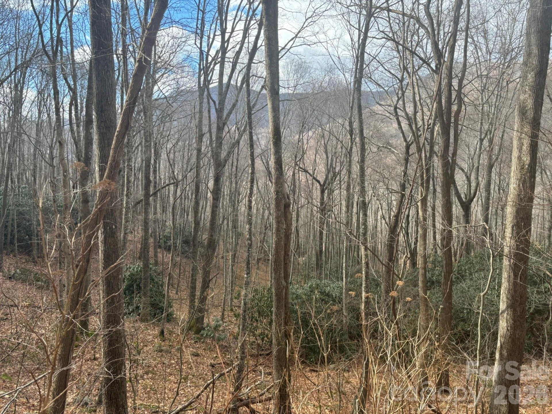 68 Grouse Road #68 - Photo 2