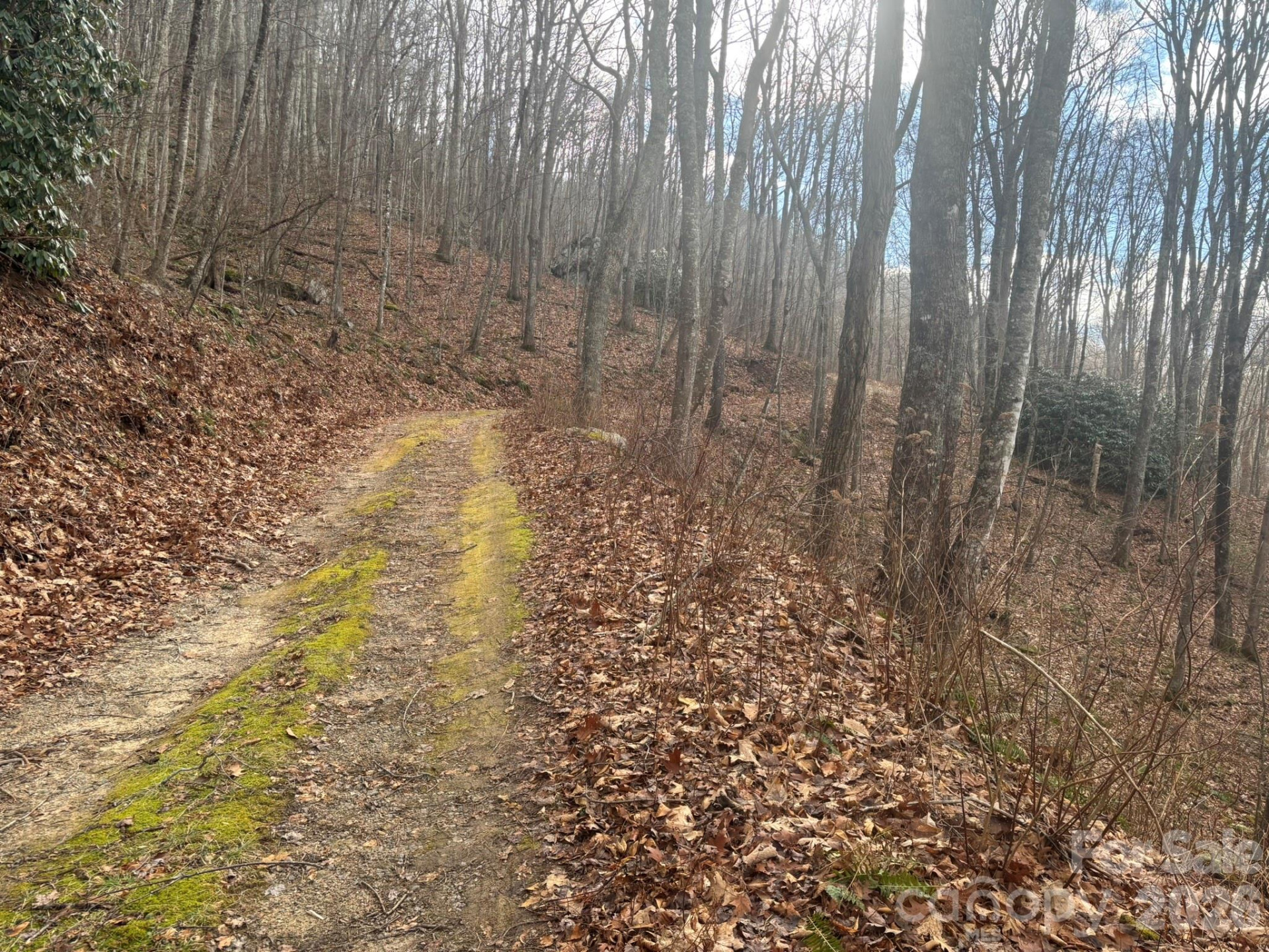 68 Grouse Road #68 - Photo 3