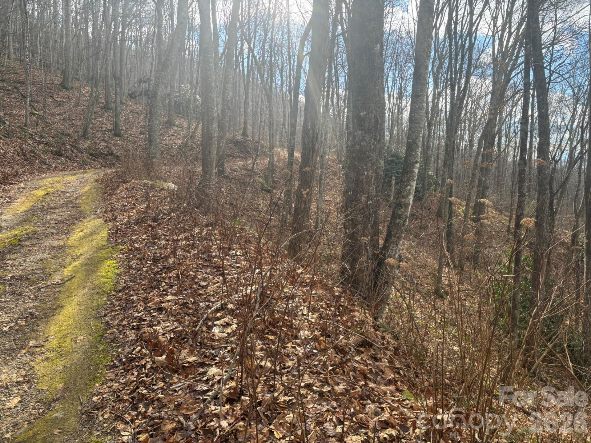 68 Grouse Road #68 - Photo 4