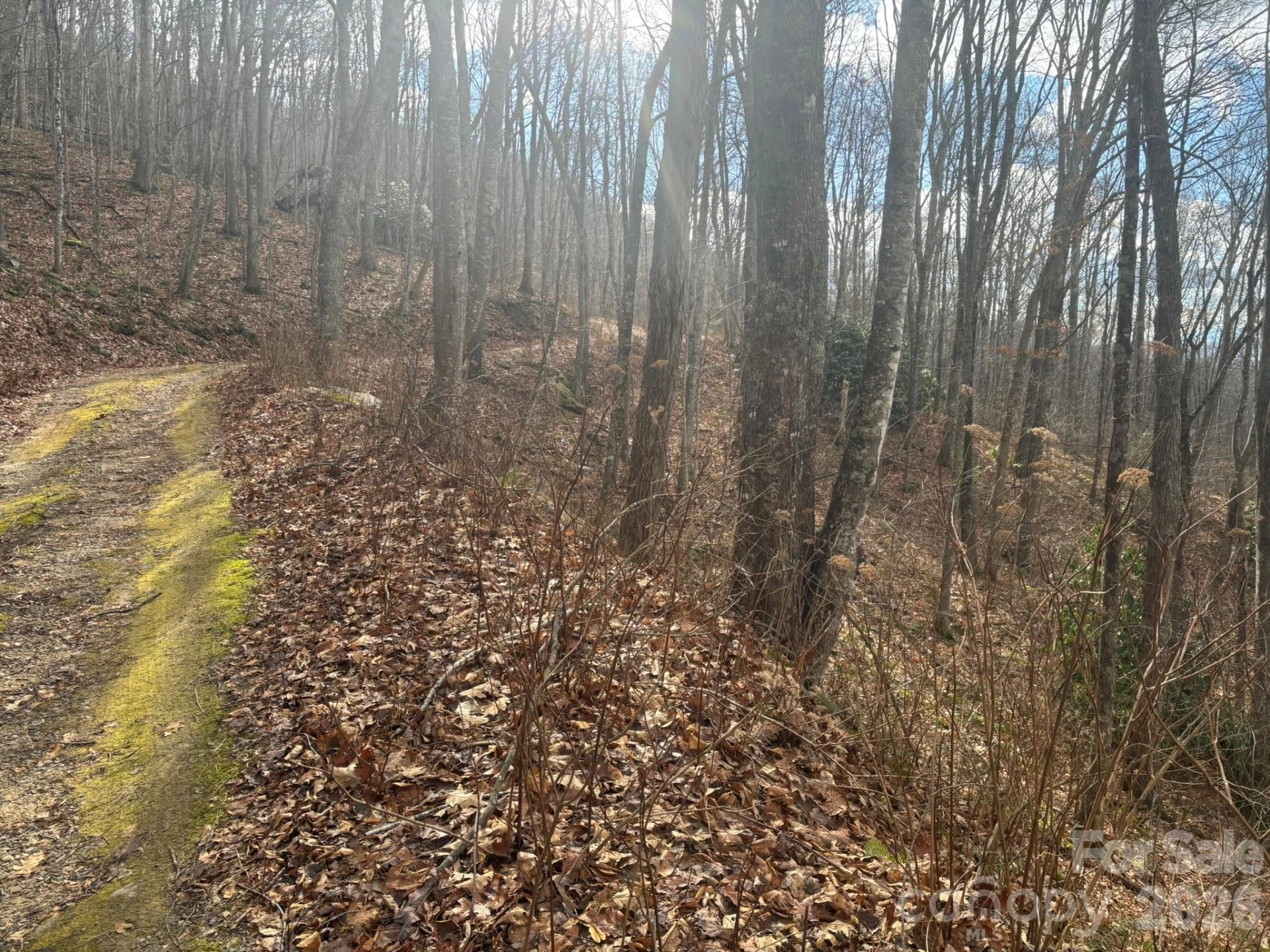 68 Grouse Road #68 - Photo 4