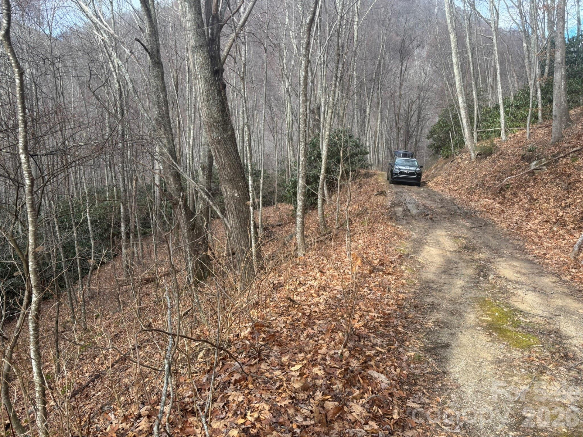 68 Grouse Road #68 - Photo 5