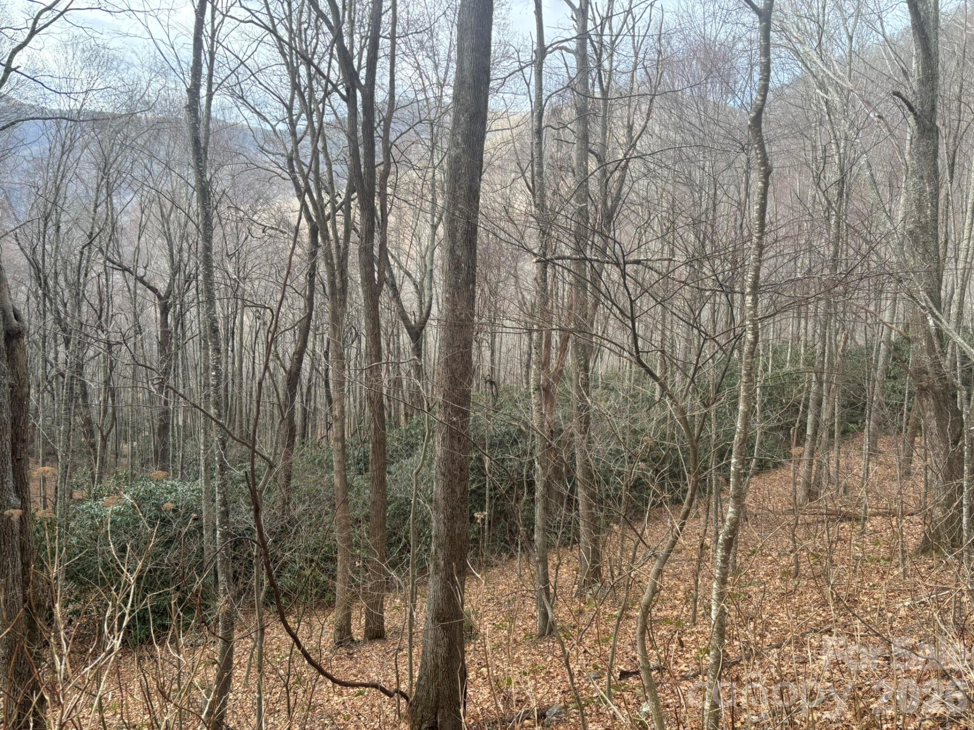 68 Grouse Road #68 - Photo 6