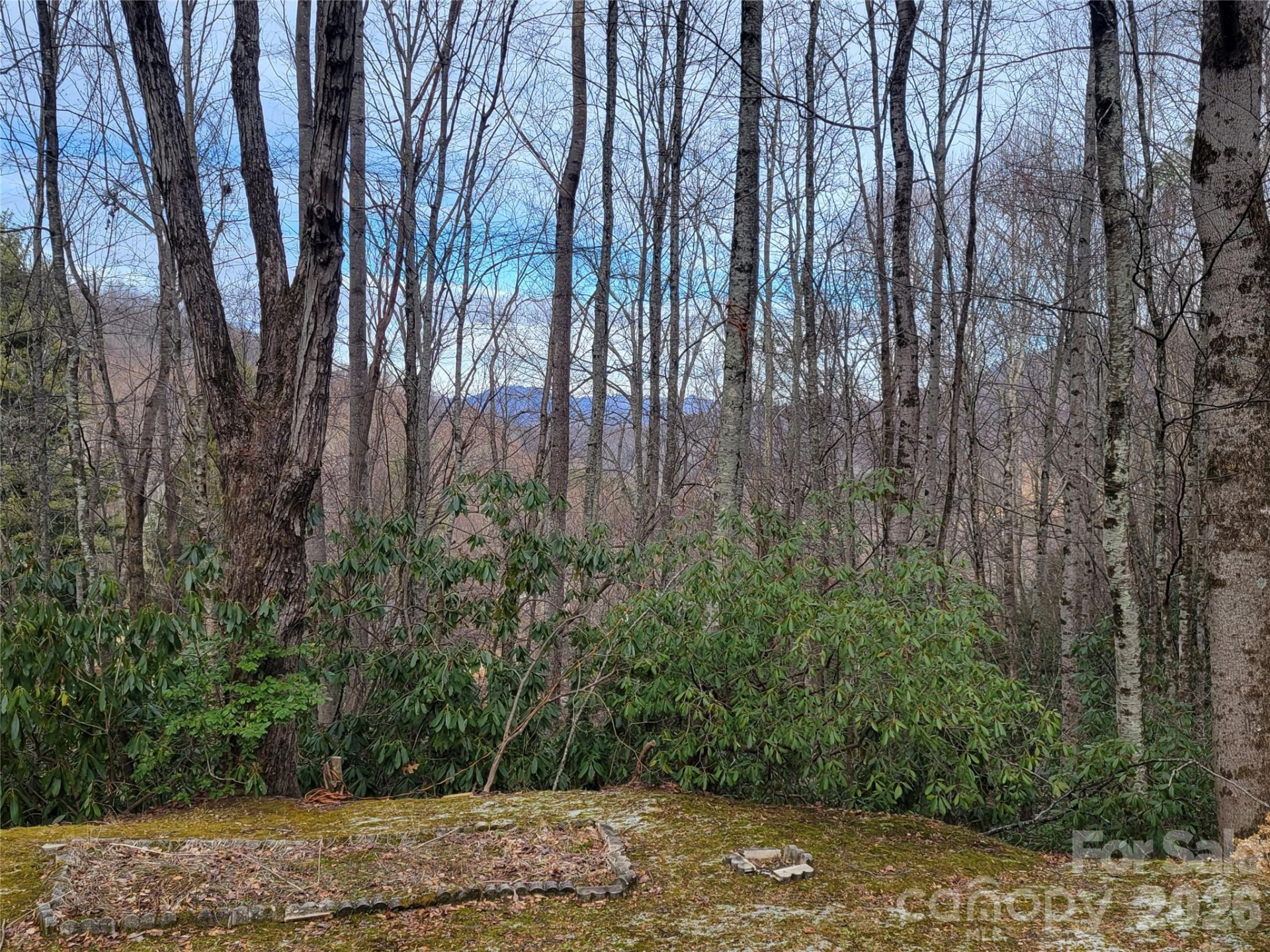 859 Big Cove Road - Photo 16