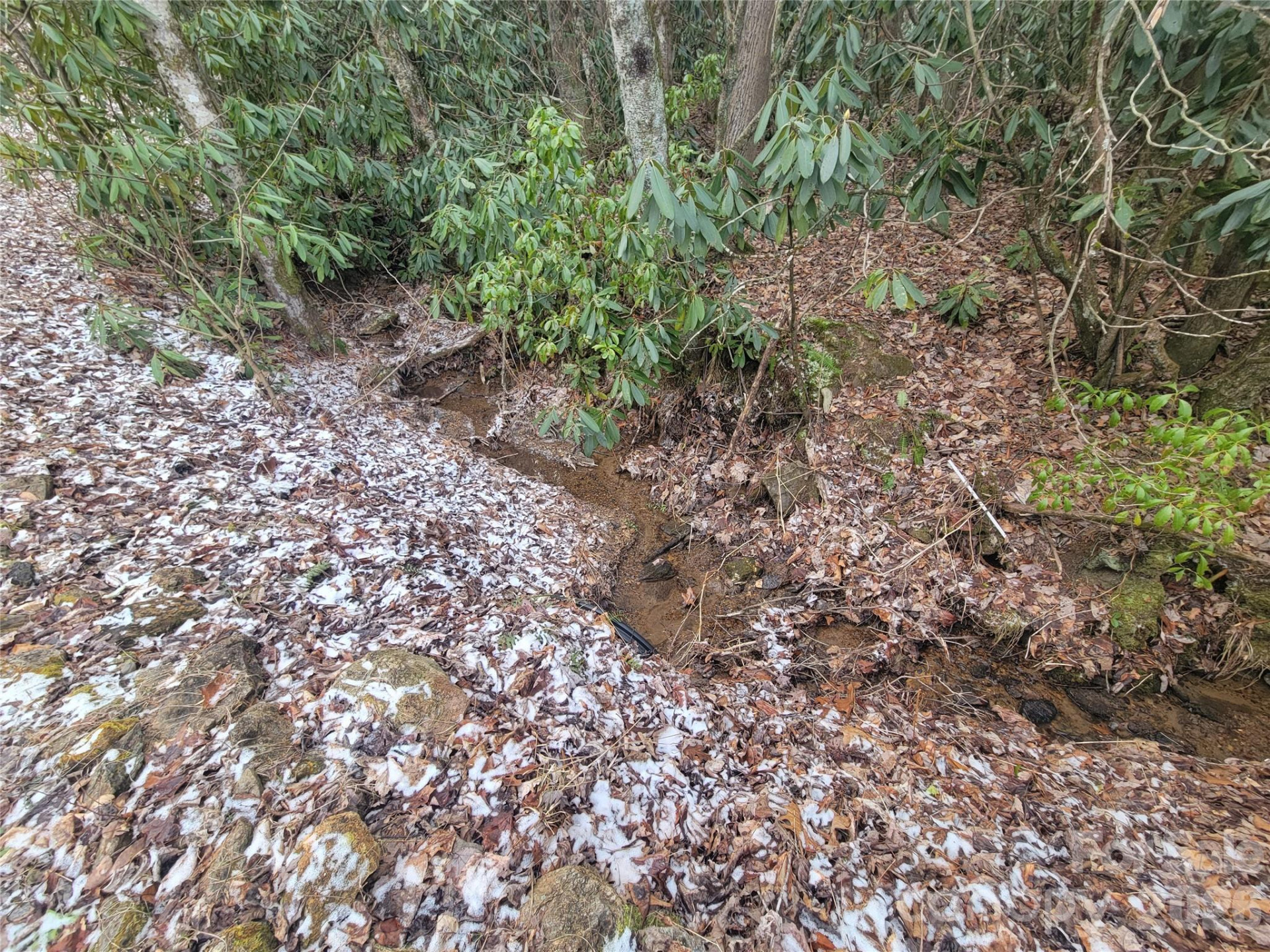 859 Big Cove Road - Photo 4