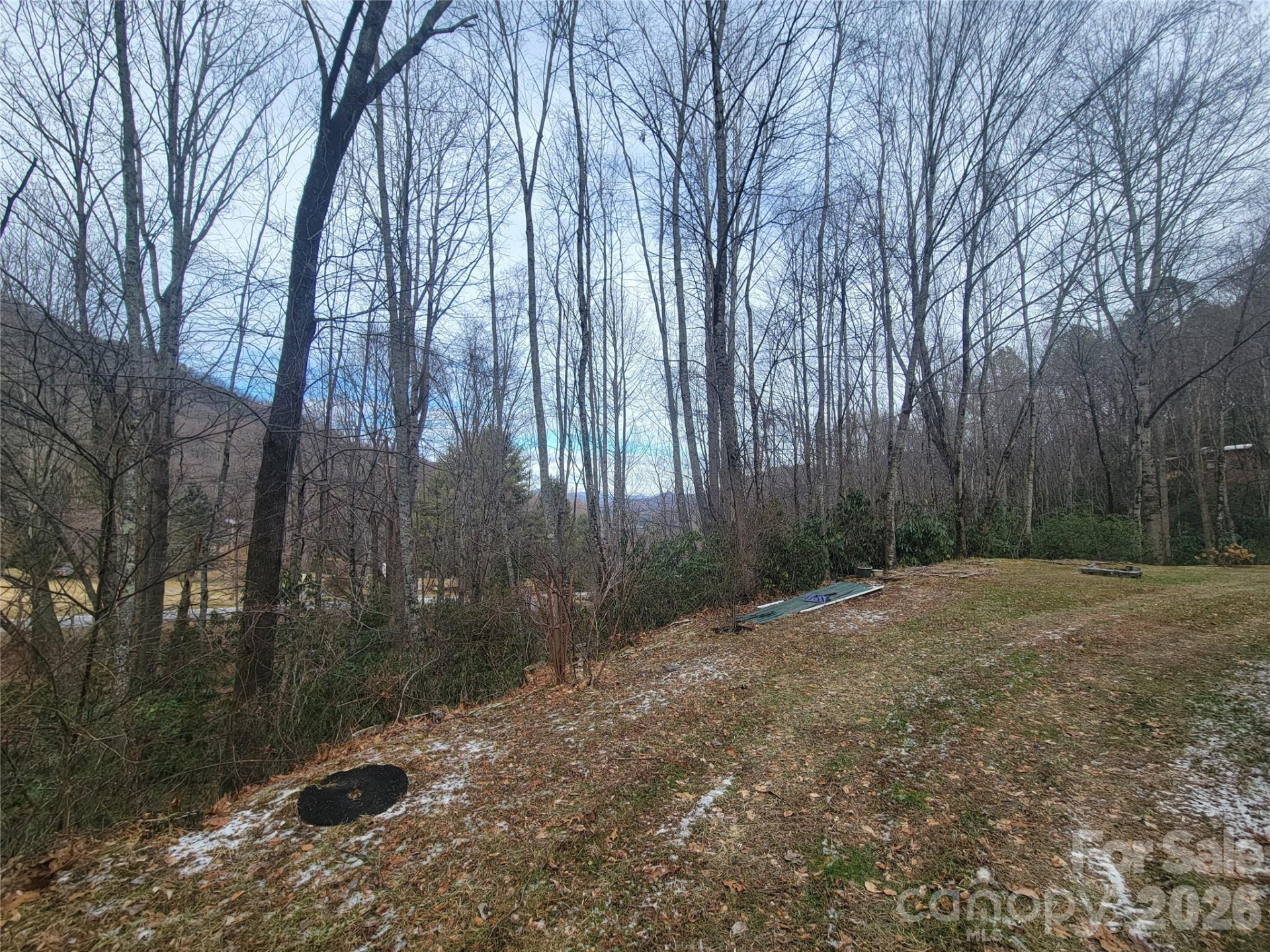 859 Big Cove Road - Photo 6