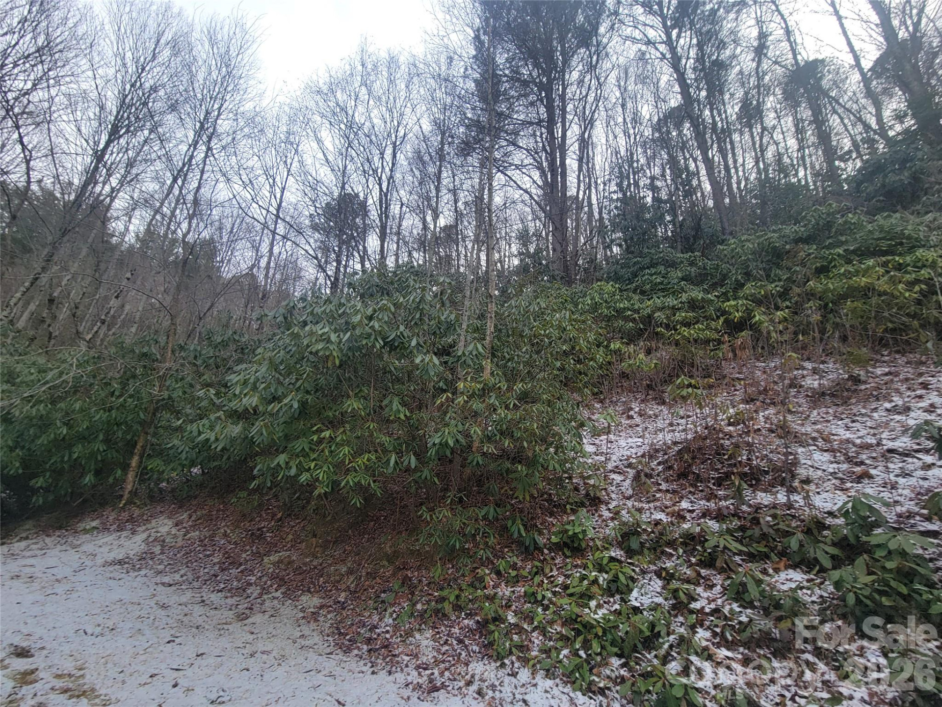 859 Big Cove Road - Photo 10