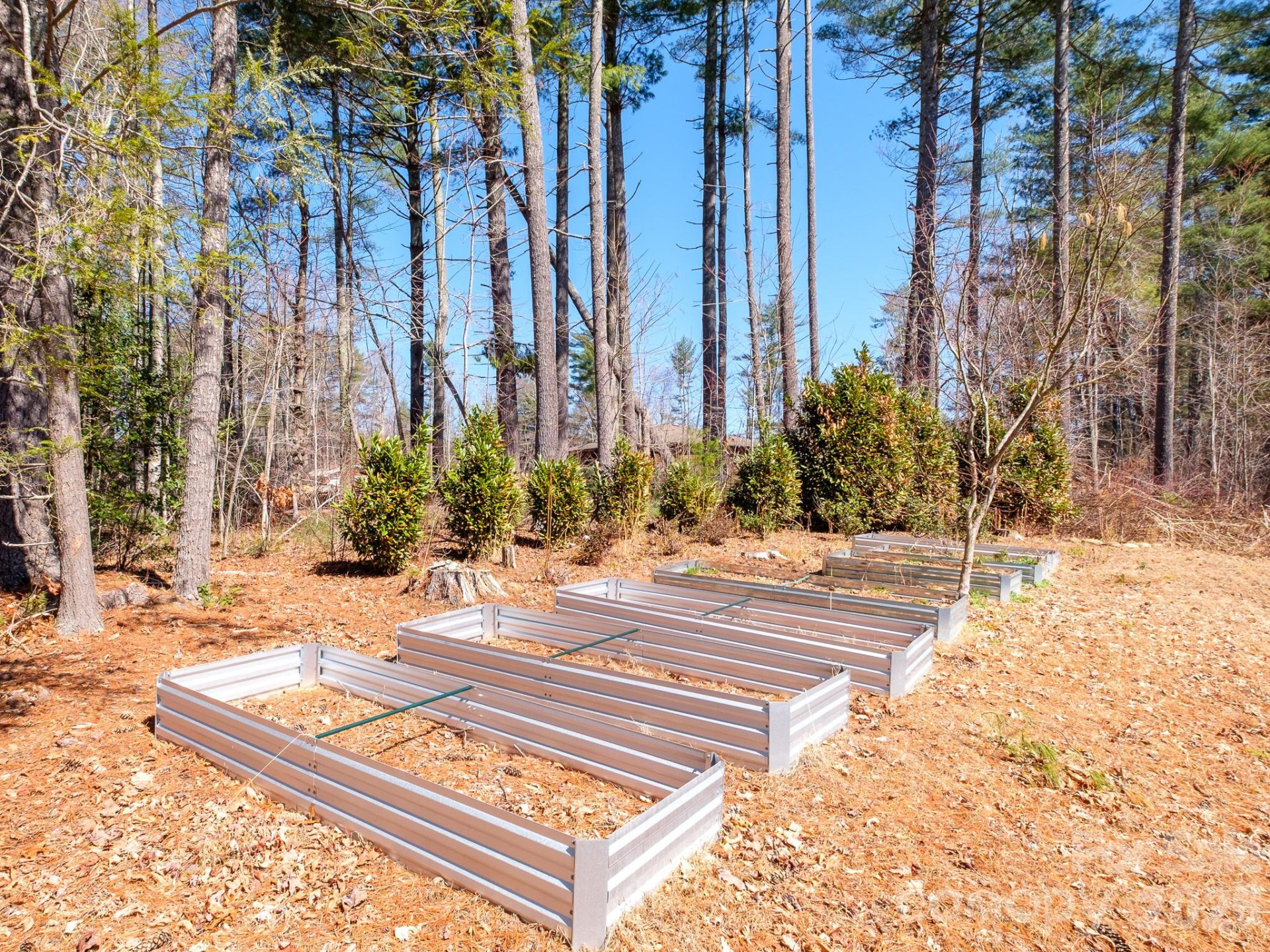 858 Mills Gap Road - Photo 22