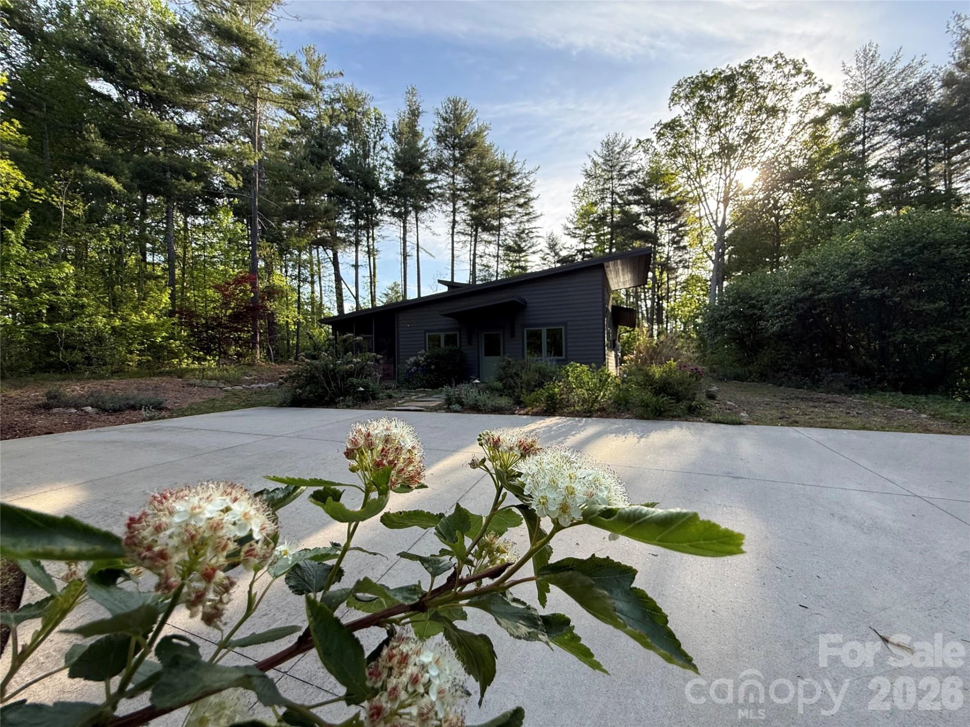 858 Mills Gap Road - Photo 7