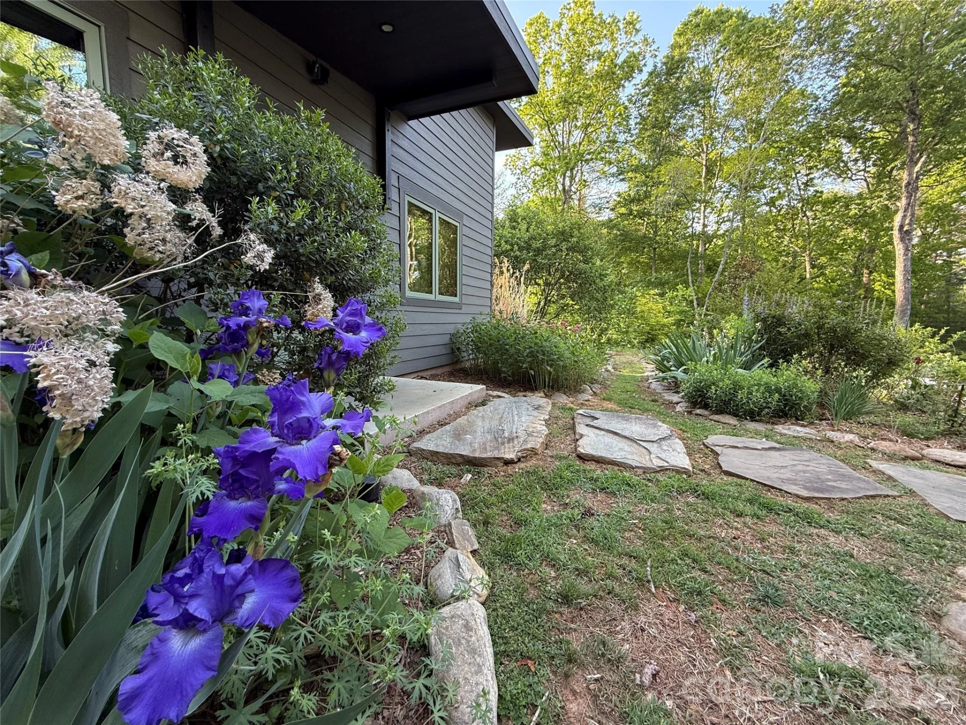 858 Mills Gap Road - Photo 9