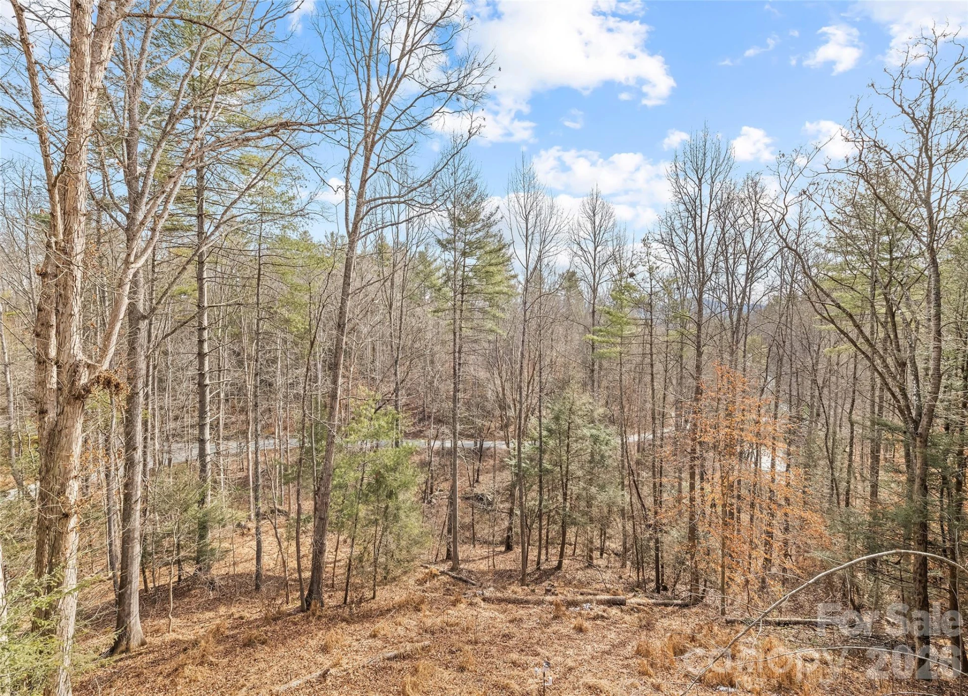 553 River Bend Drive - Photo 7