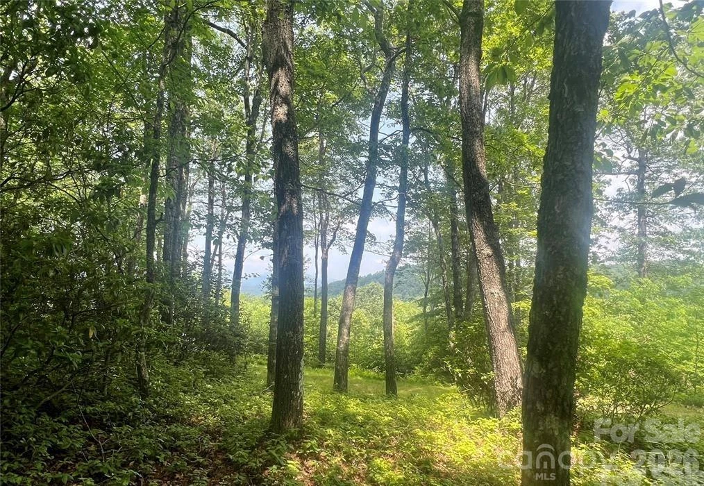 Lot 10 Joshua Road - Photo 11