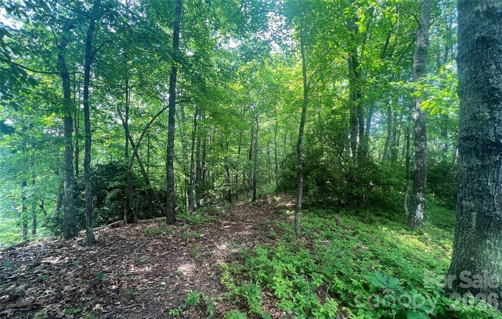 Lot 10 Joshua Road - Photo 14