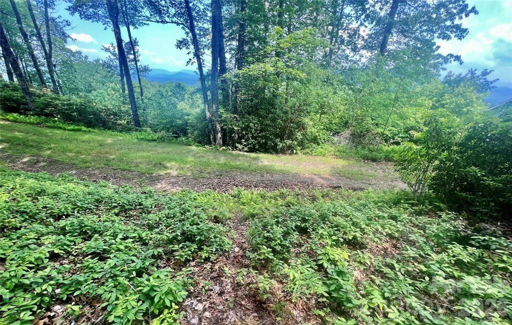 Lot 10 Joshua Road - Photo 15