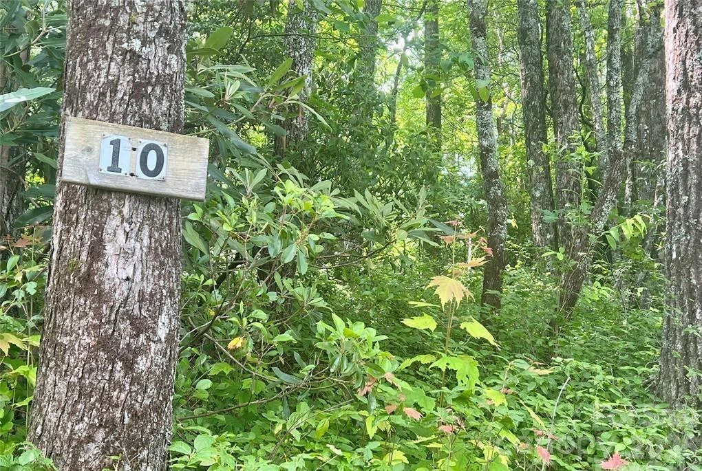 Lot 10 Joshua Road - Photo 16