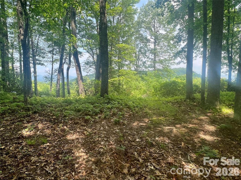 Lot 10 Joshua Road - Photo 17