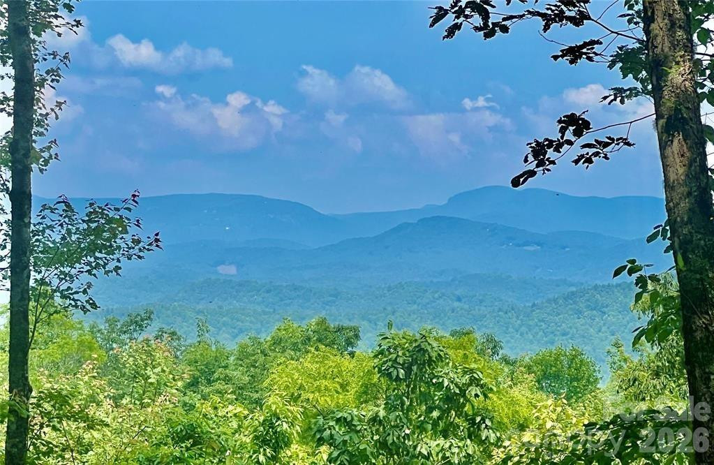 Lot 10 Joshua Road - Photo 19