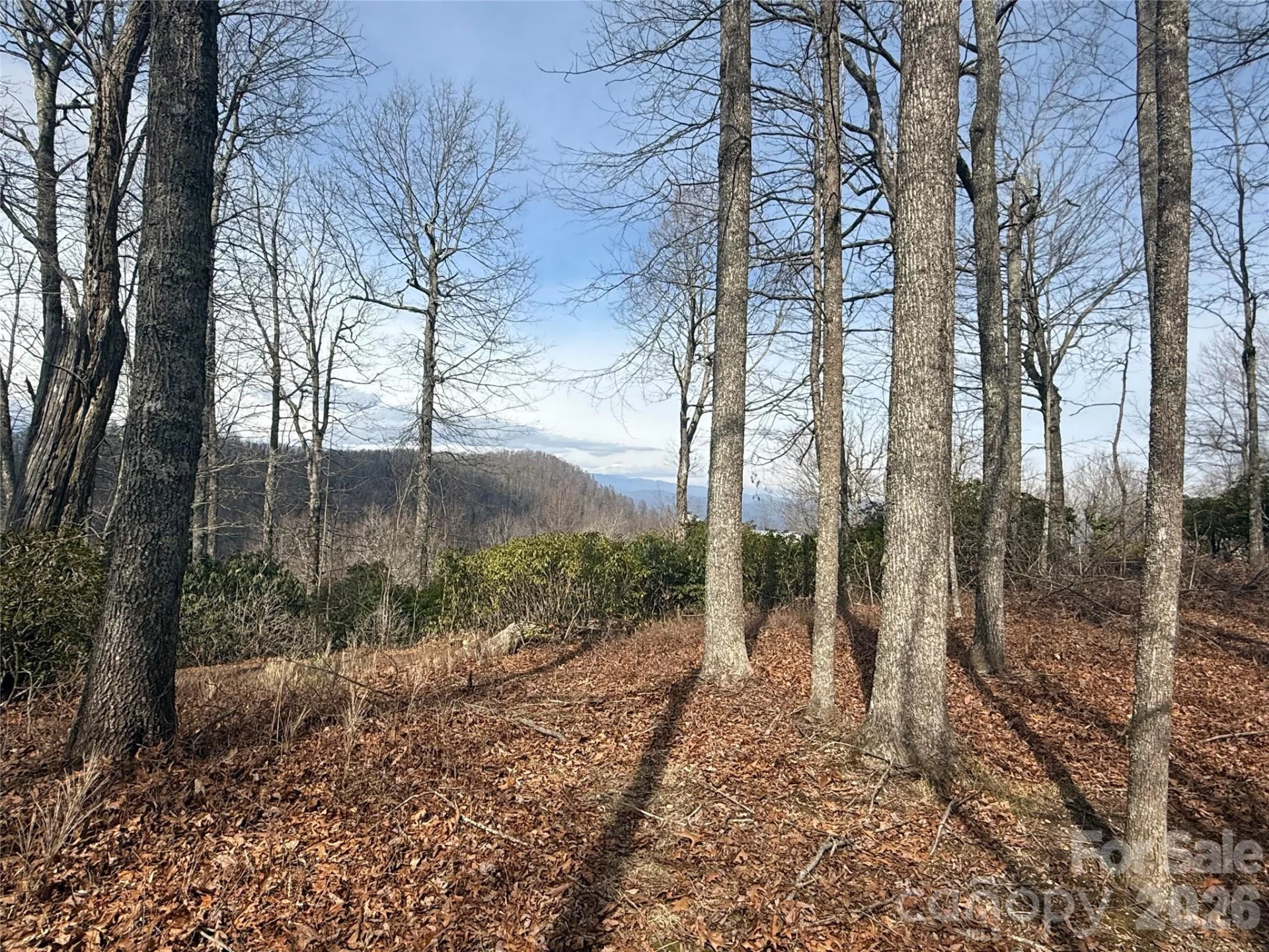 Lot 10 Joshua Road - Photo 26