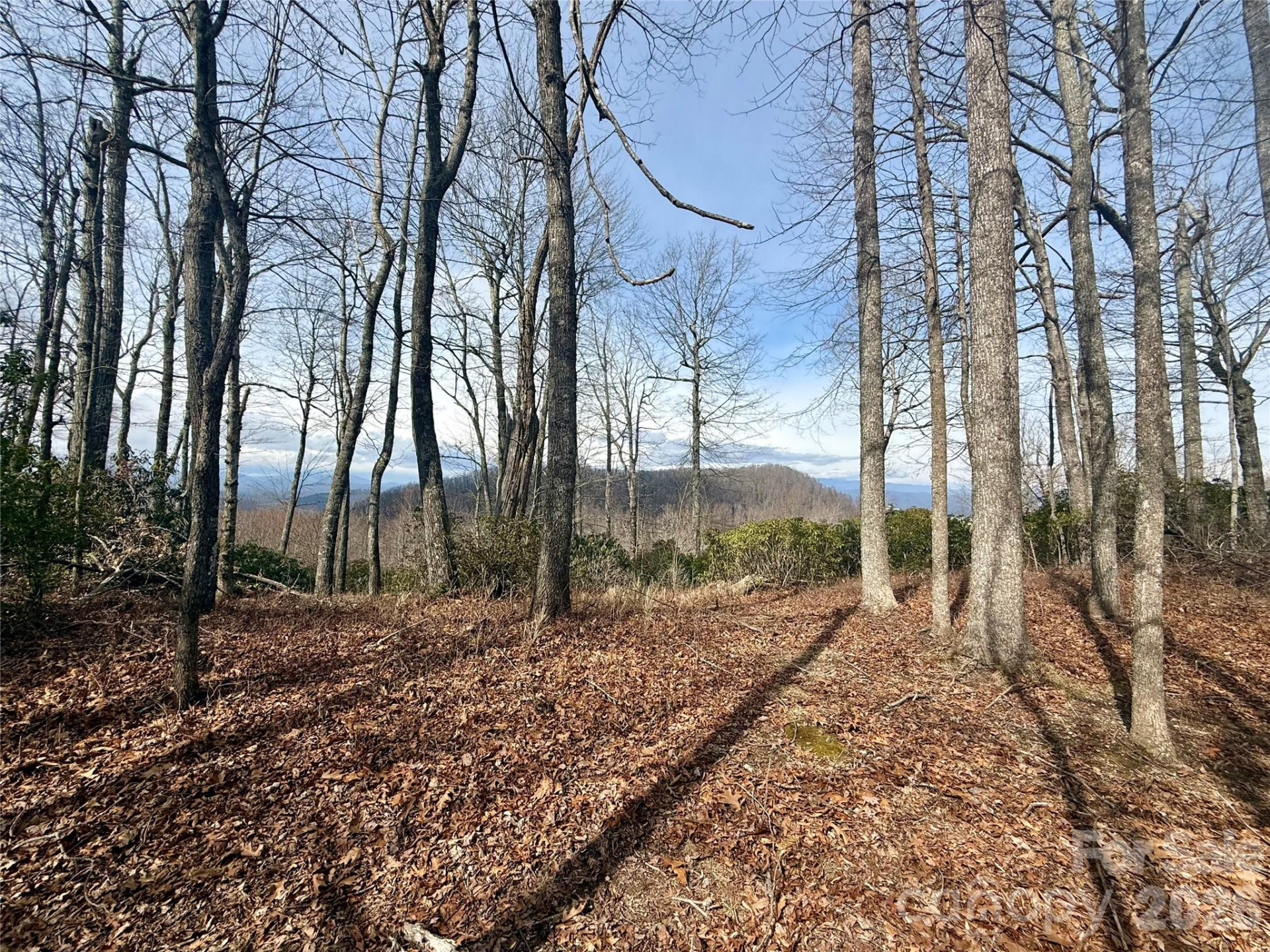 Lot 10 Joshua Road - Photo 28