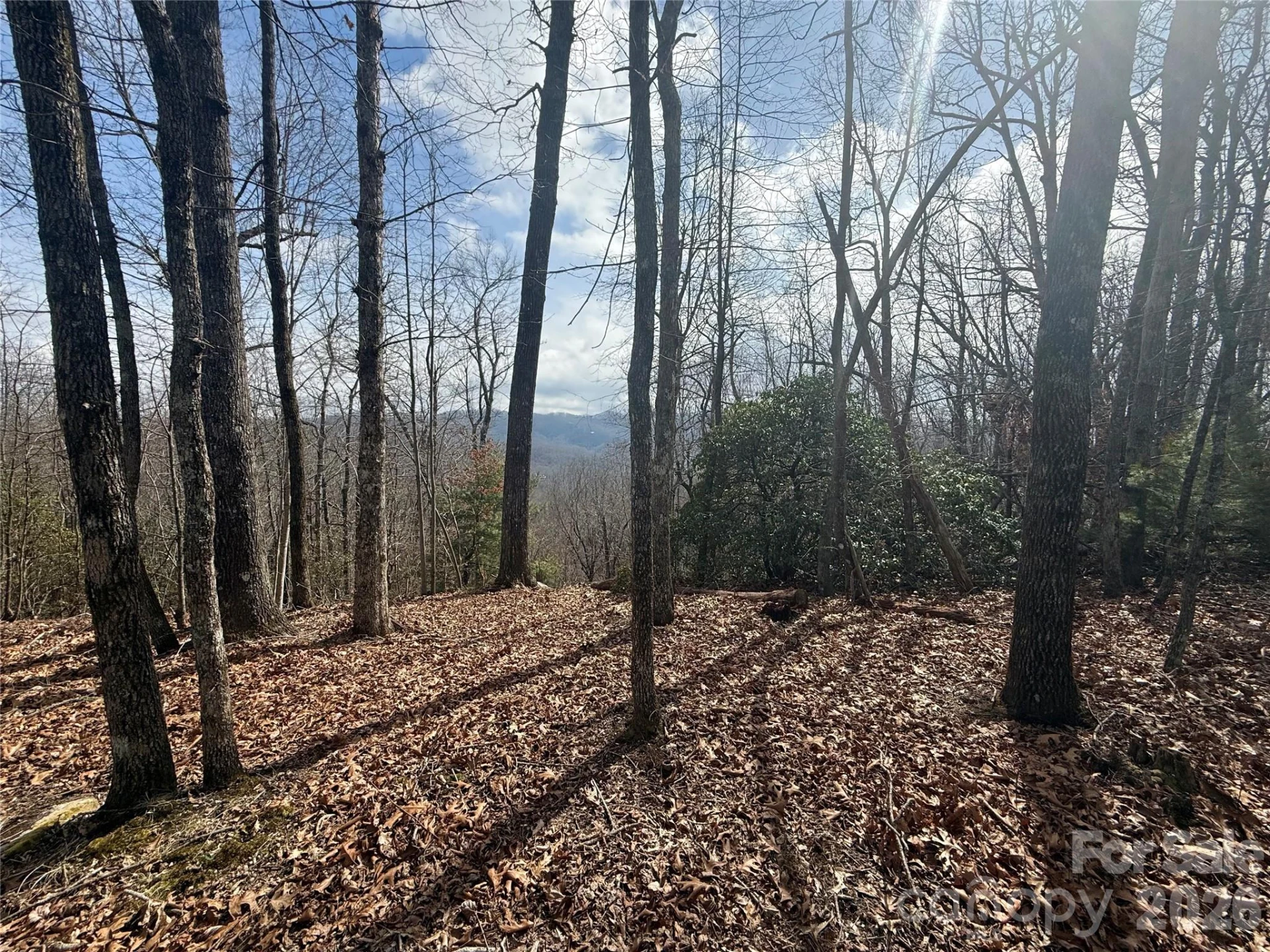 Lot 10 Joshua Road - Photo 29