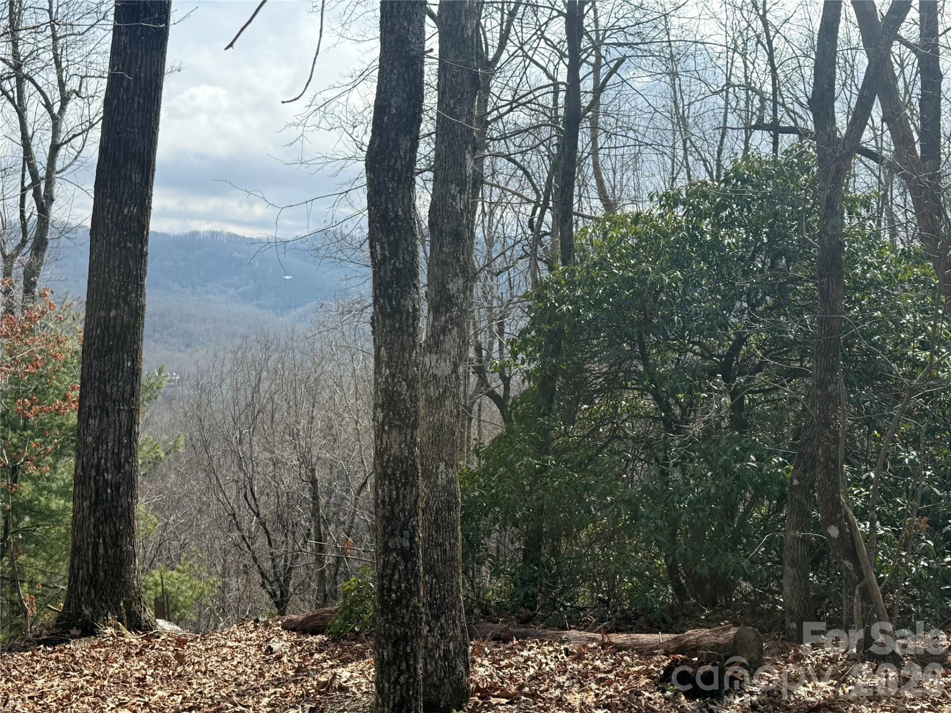 Lot 10 Joshua Road - Photo 30
