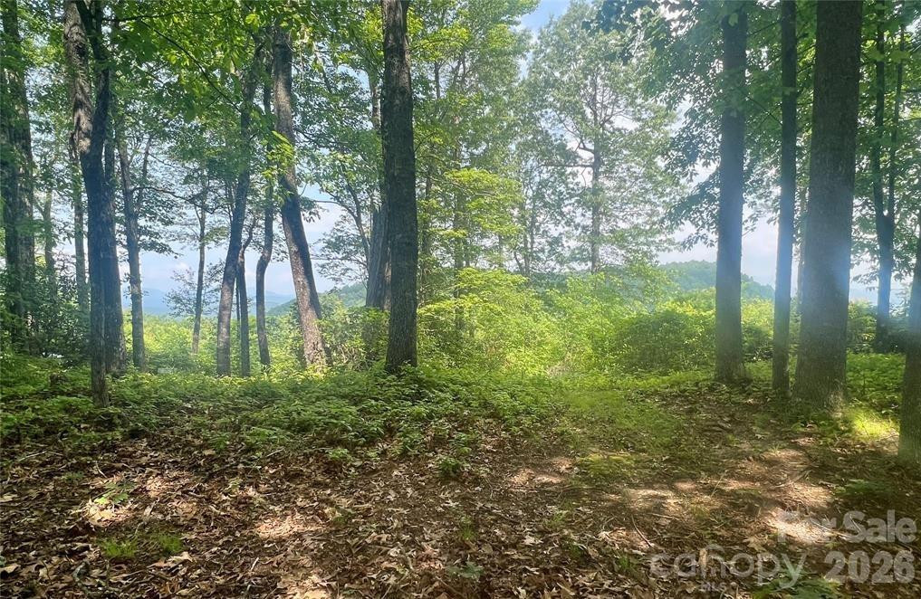 Lot 10 Joshua Road - Photo 4