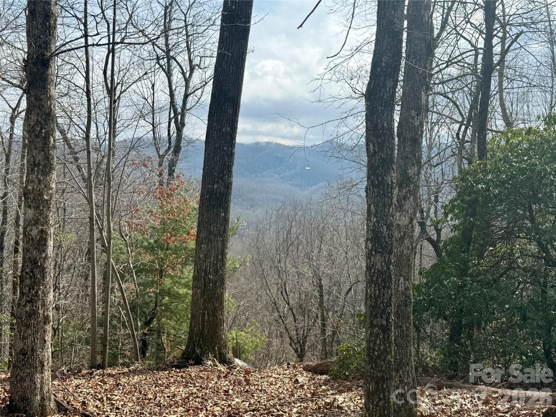 Lot 10 Joshua Road - Photo 31