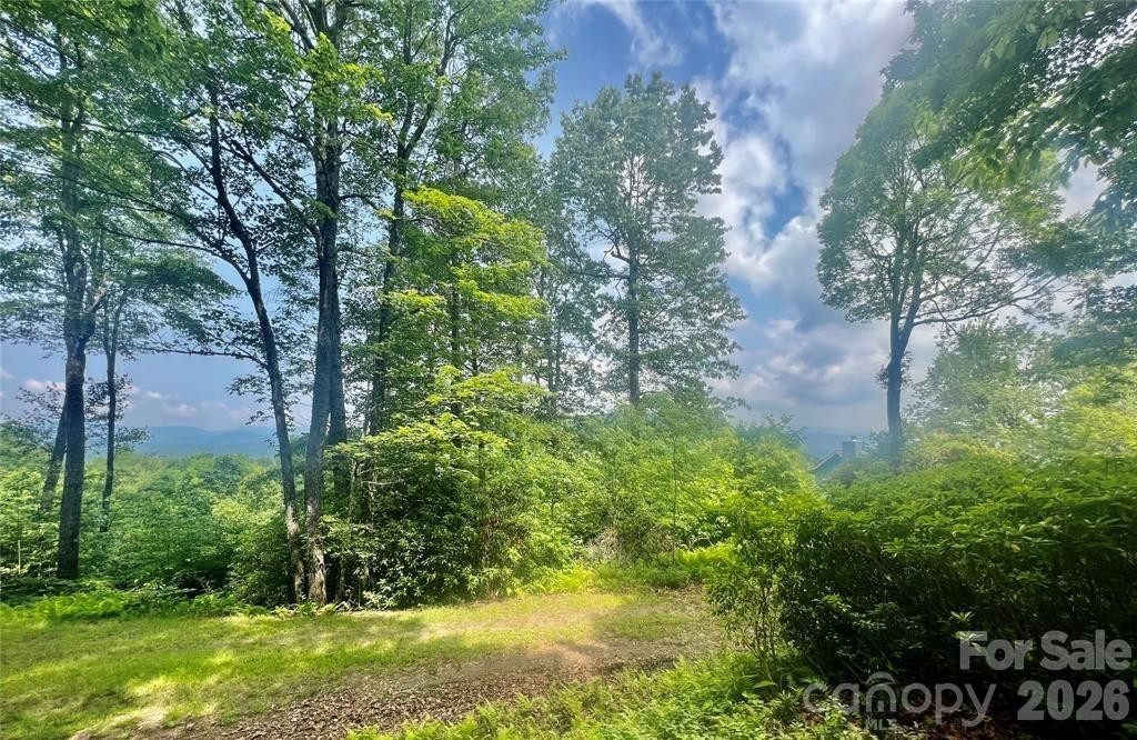 Lot 10 Joshua Road - Photo 9