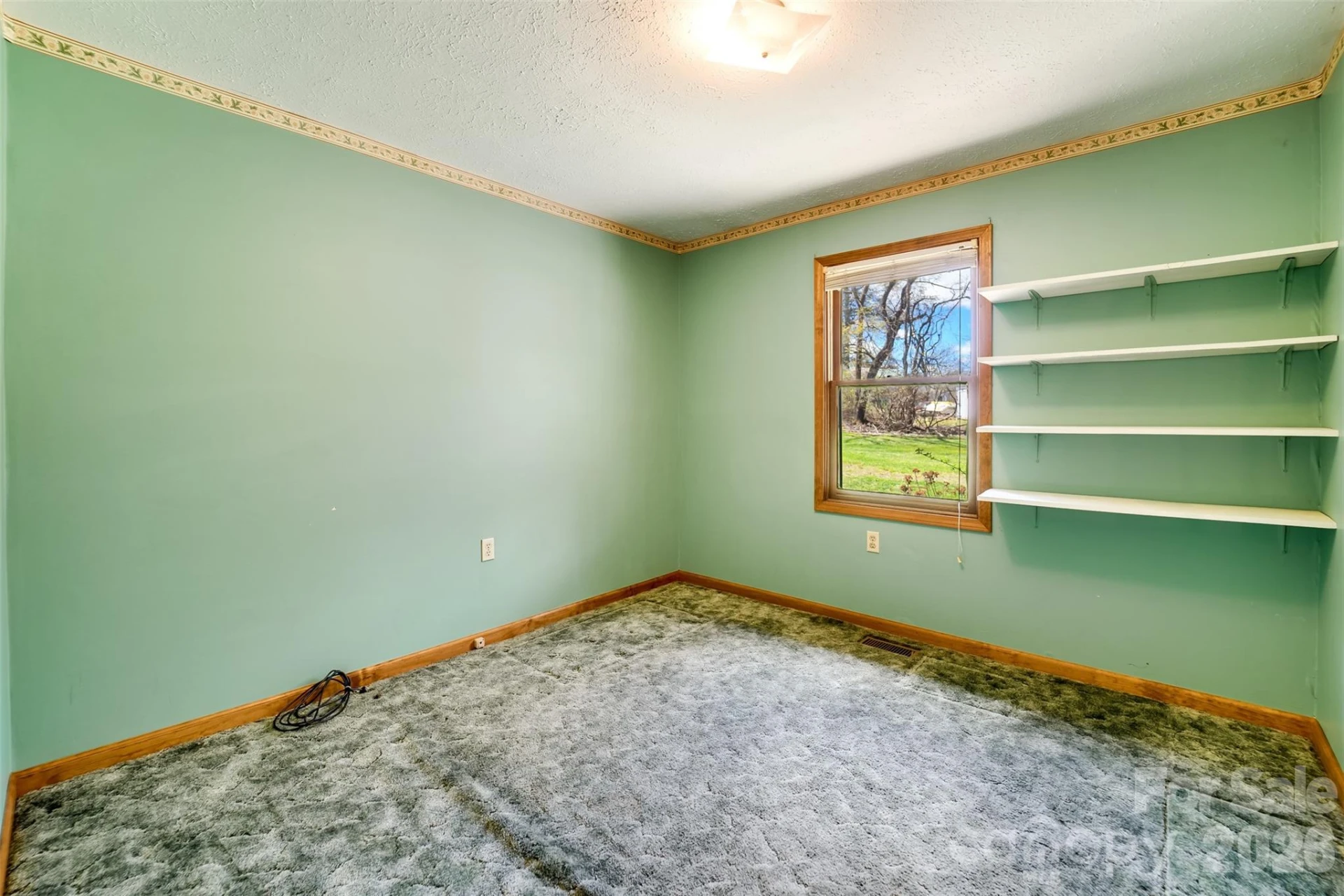21 Queen Street - Photo 11